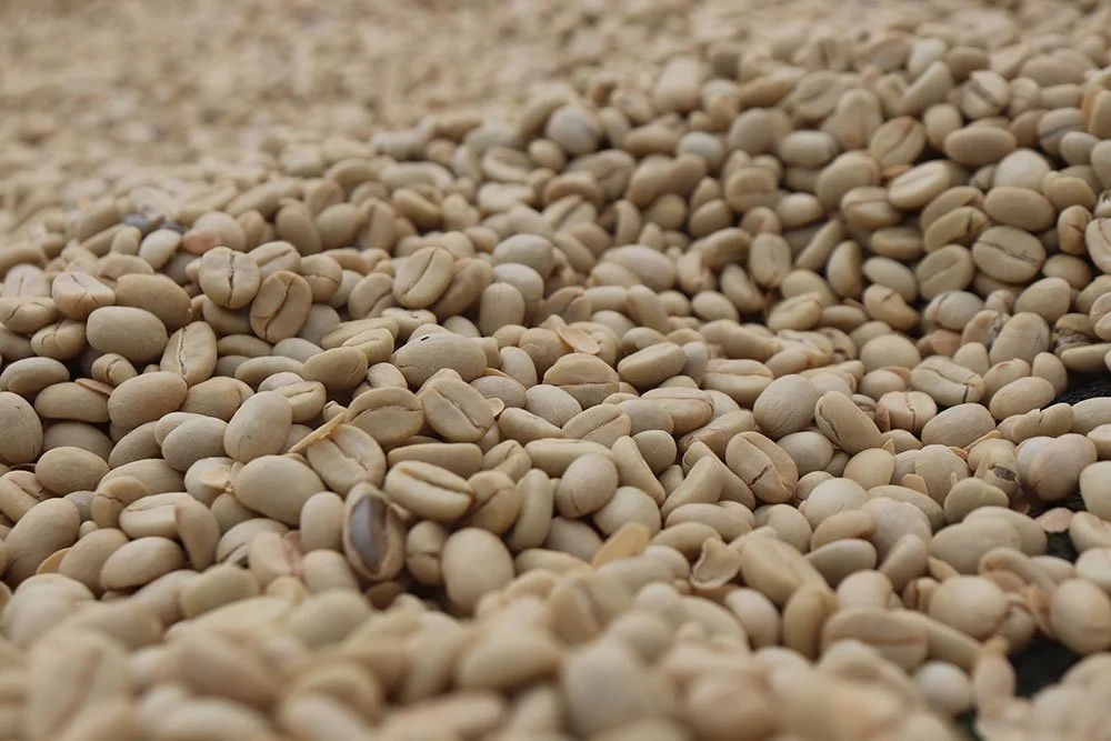 craigs coffee kenya kayu parchment.jpg