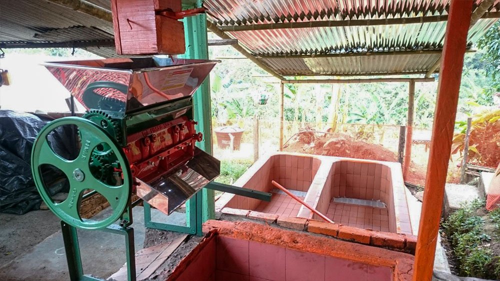 Colombia Gesha natural craigs coffee.jpg