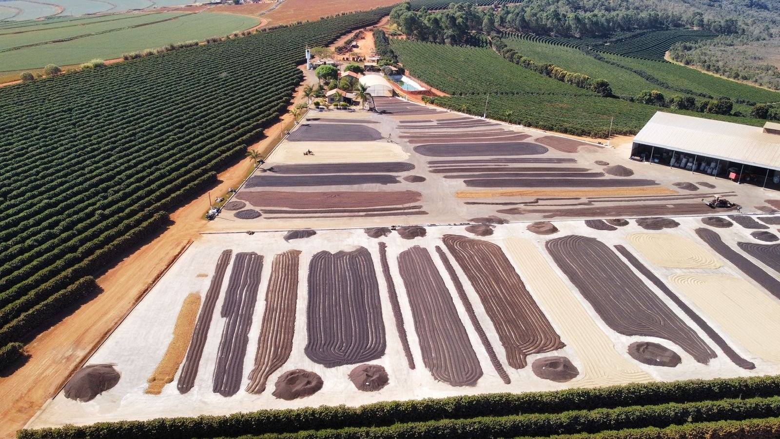 Marcelo Assis Bioma Aerial 3 - Craig's Coffee.jpg