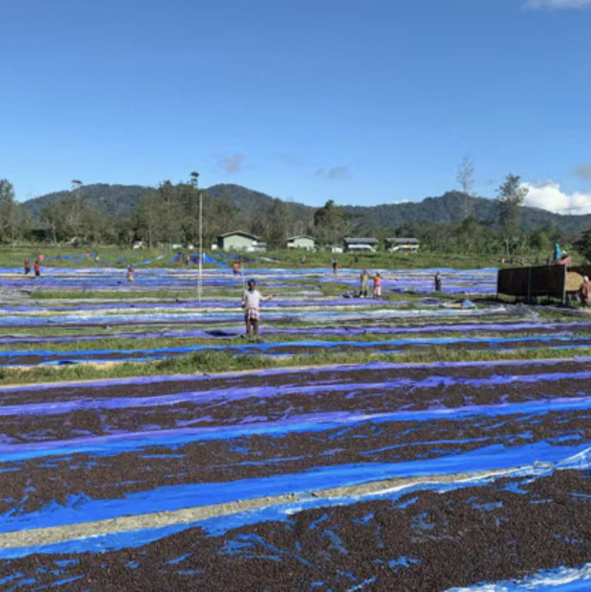 Papua New Guinea Natural craigs coffee.jpg