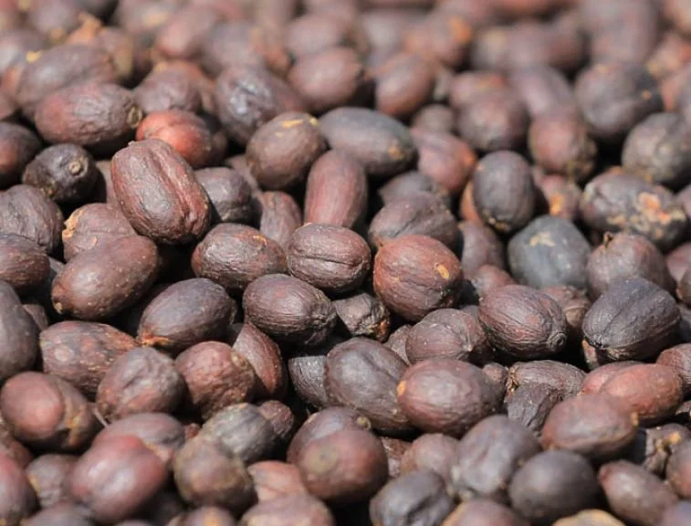 rwanda sweet marias karongi gitesi .jpg