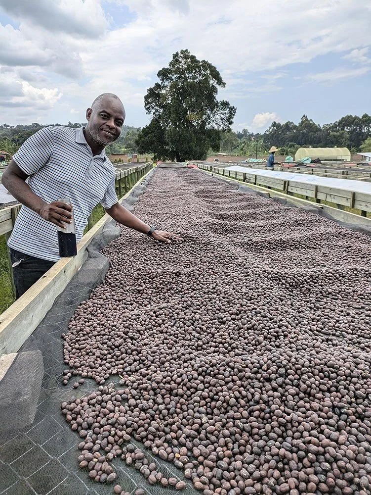 The Coffee Yards Uganda Craigs Coffee.jpg