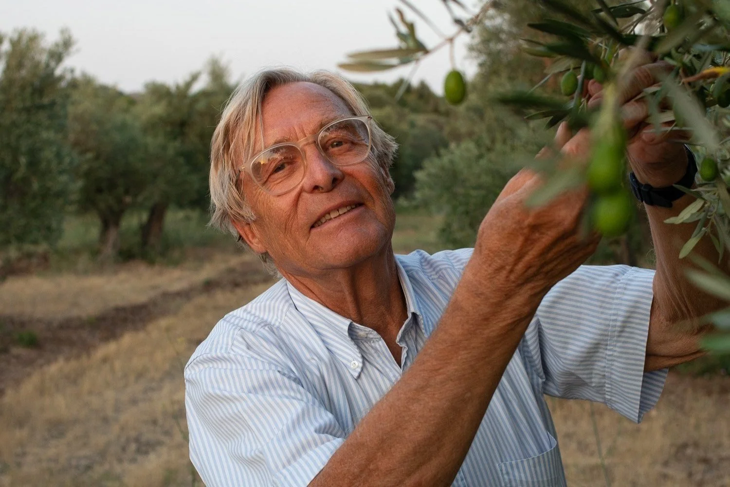 Under the spell of Provence with Philippe Ducru