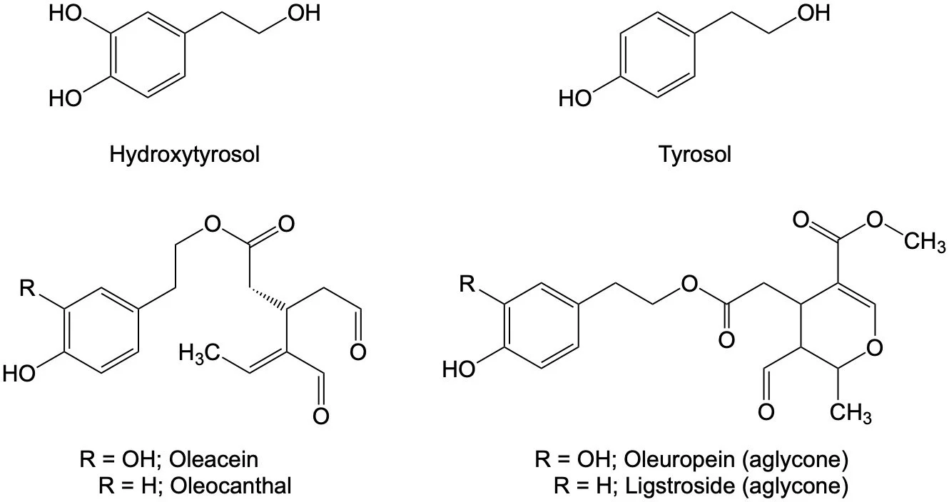 How Exaxctly do Olive Oil Polyphenols Benefit our Health?
