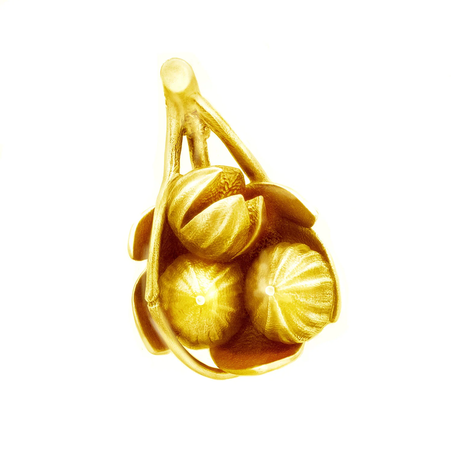 1yG-figleaf.jpg