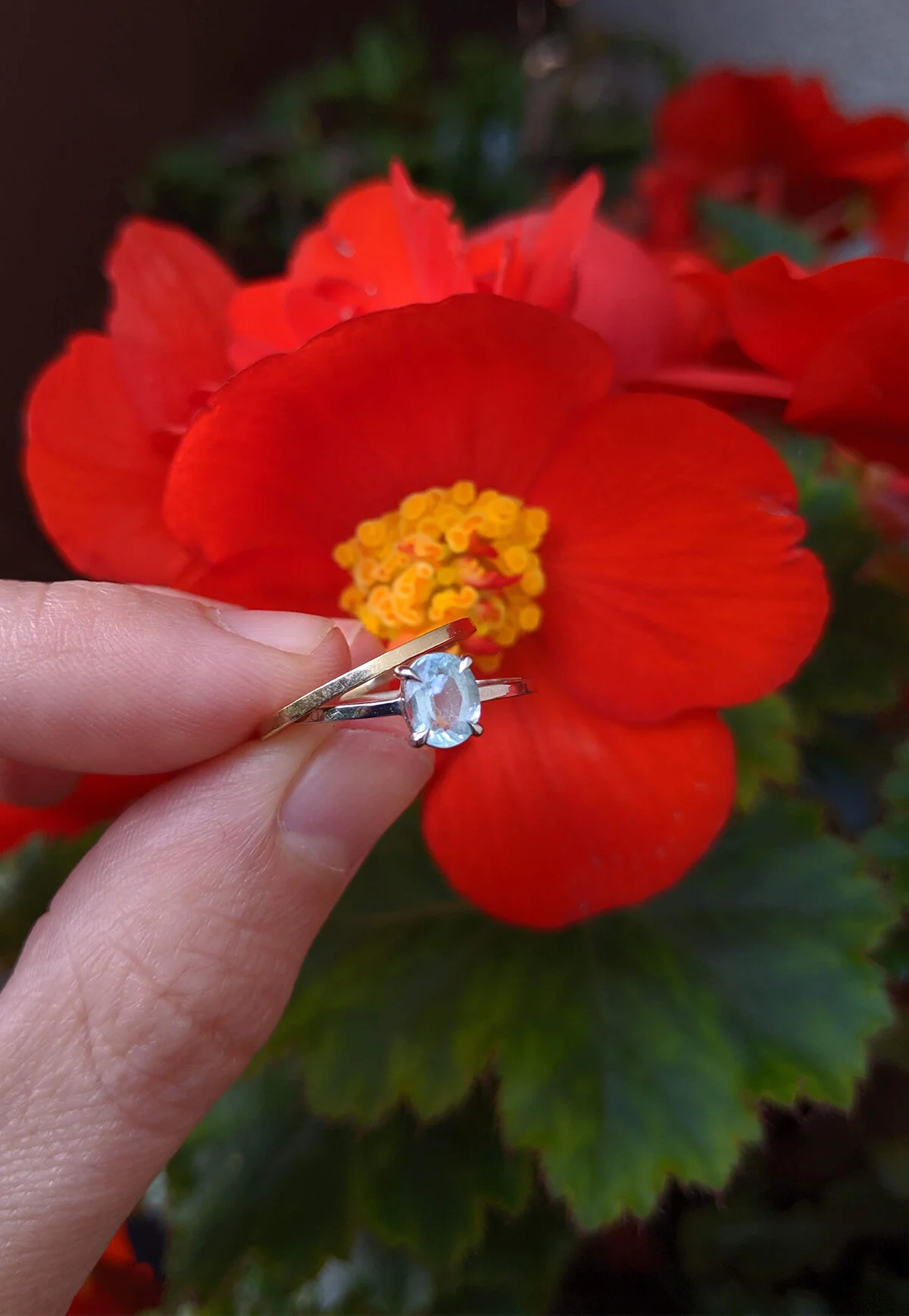 paraiba5.jpg