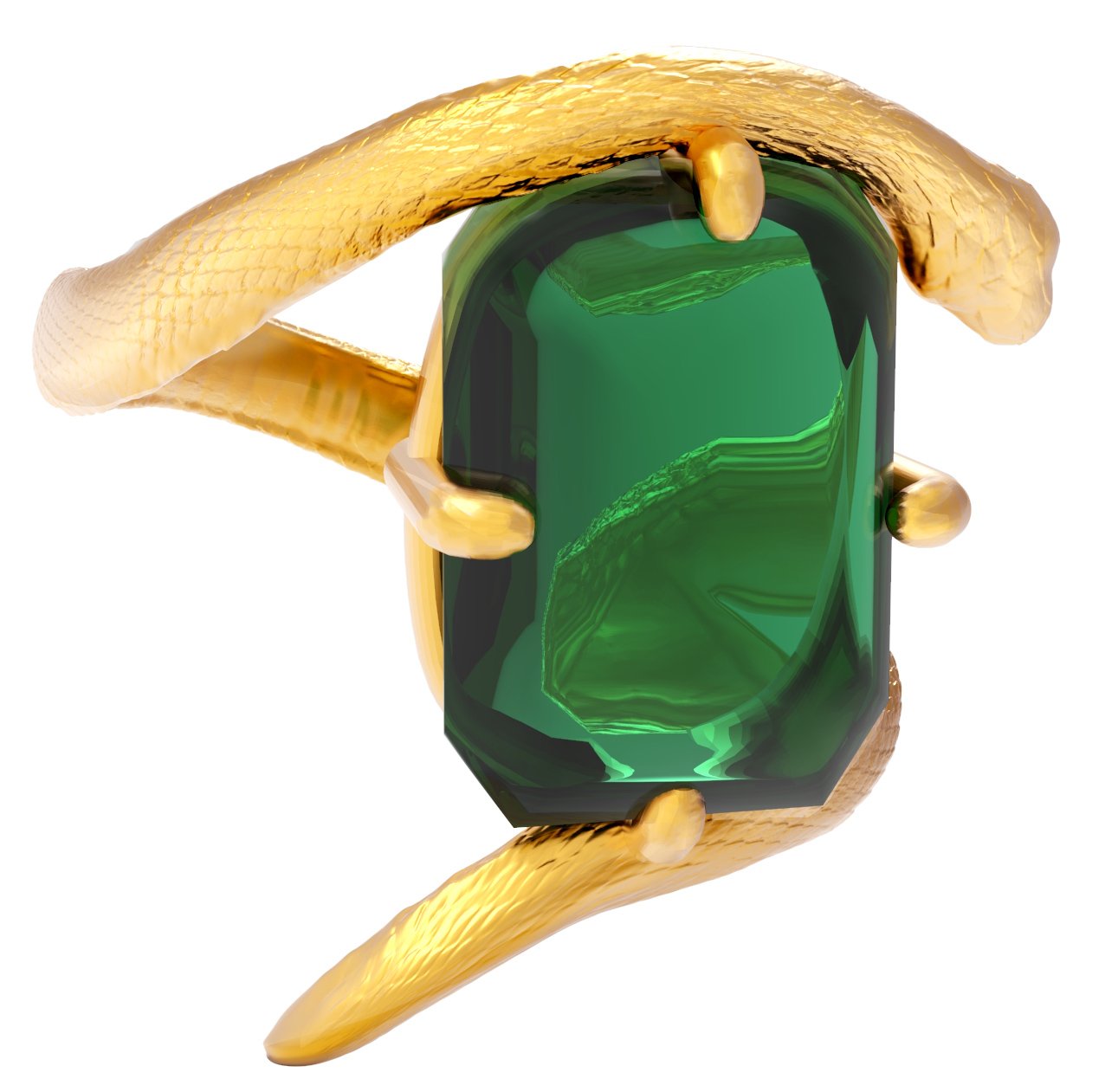 trmlYGdring99.jpg