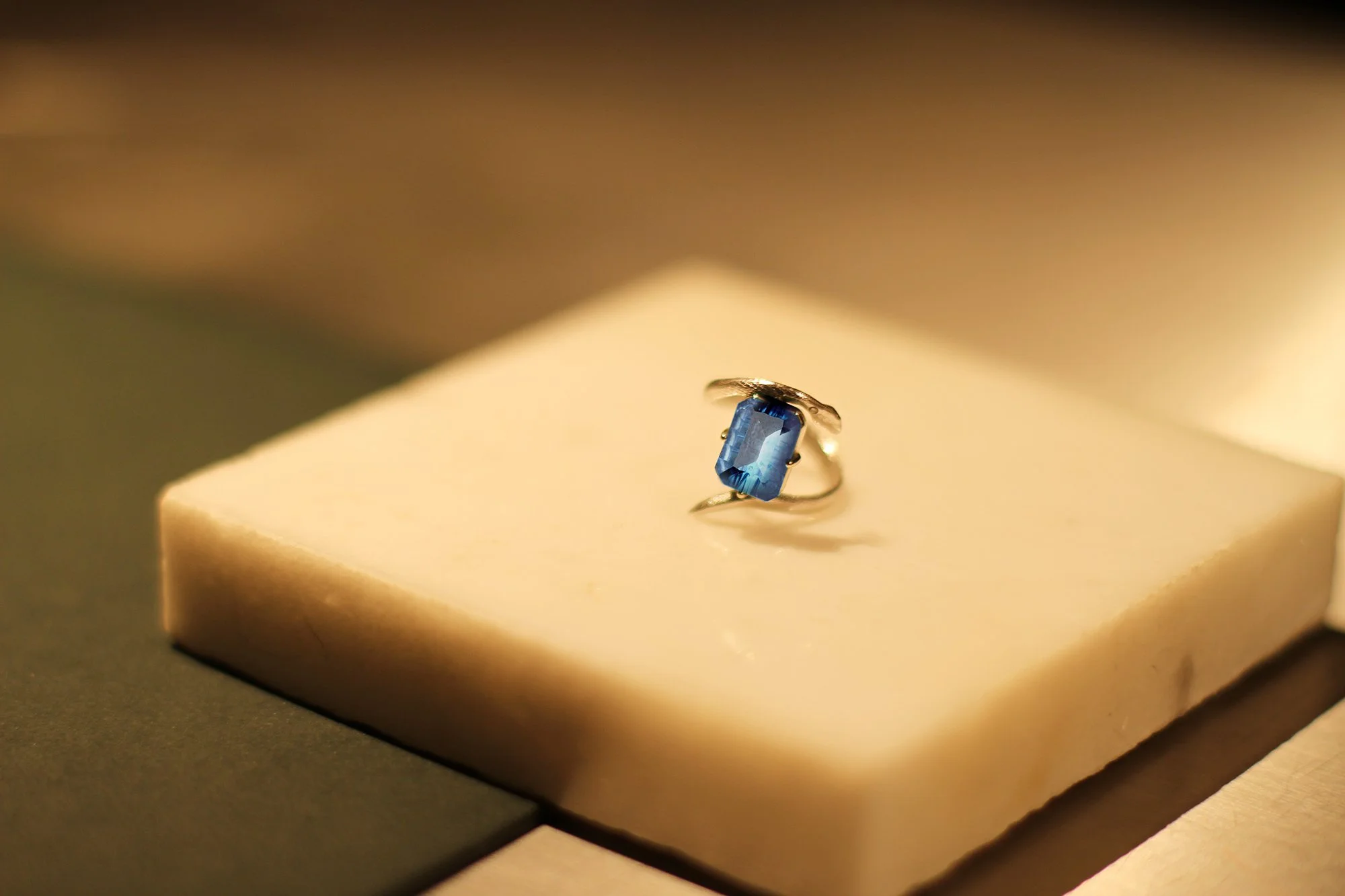 topaz22122284.jpg