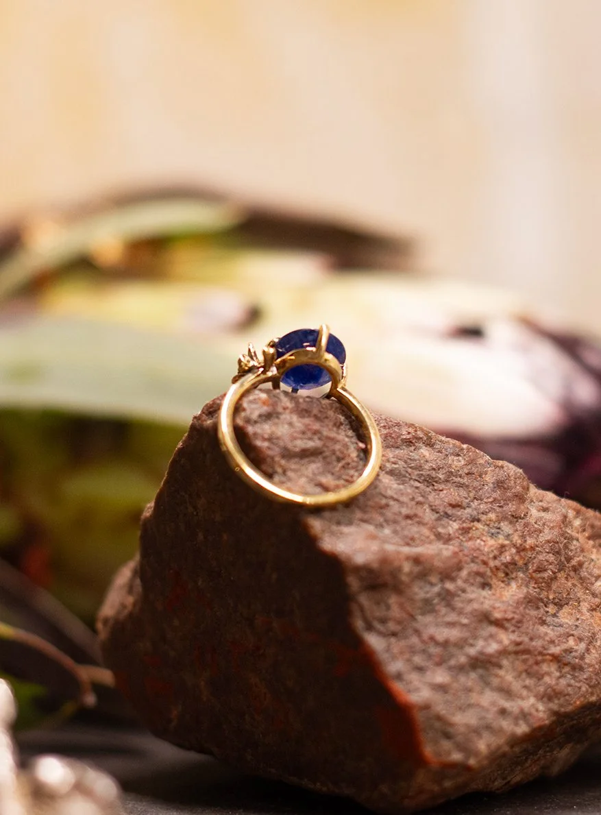 22122565cr.jpg