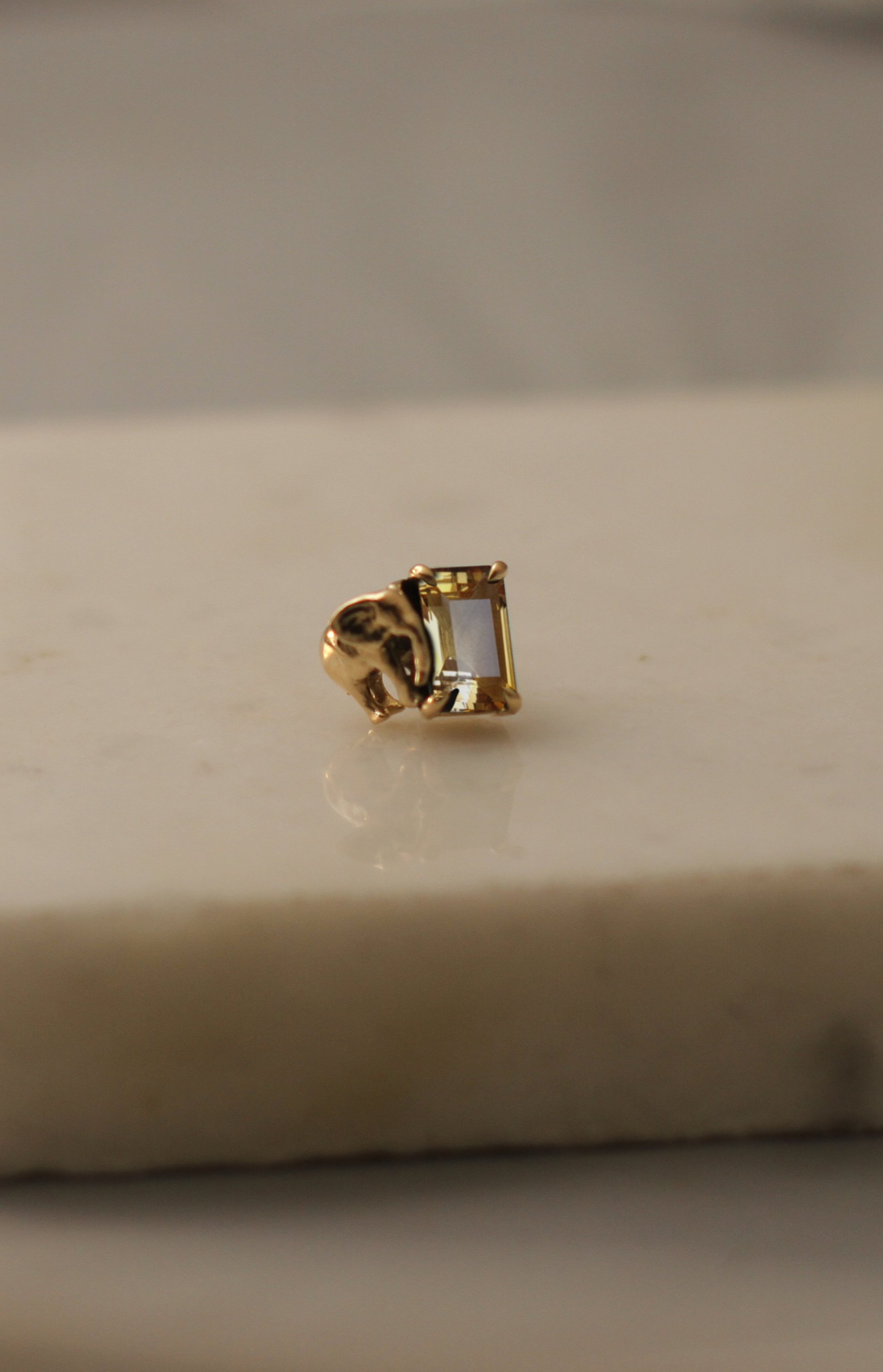 citrine22122447.jpg (Copy)