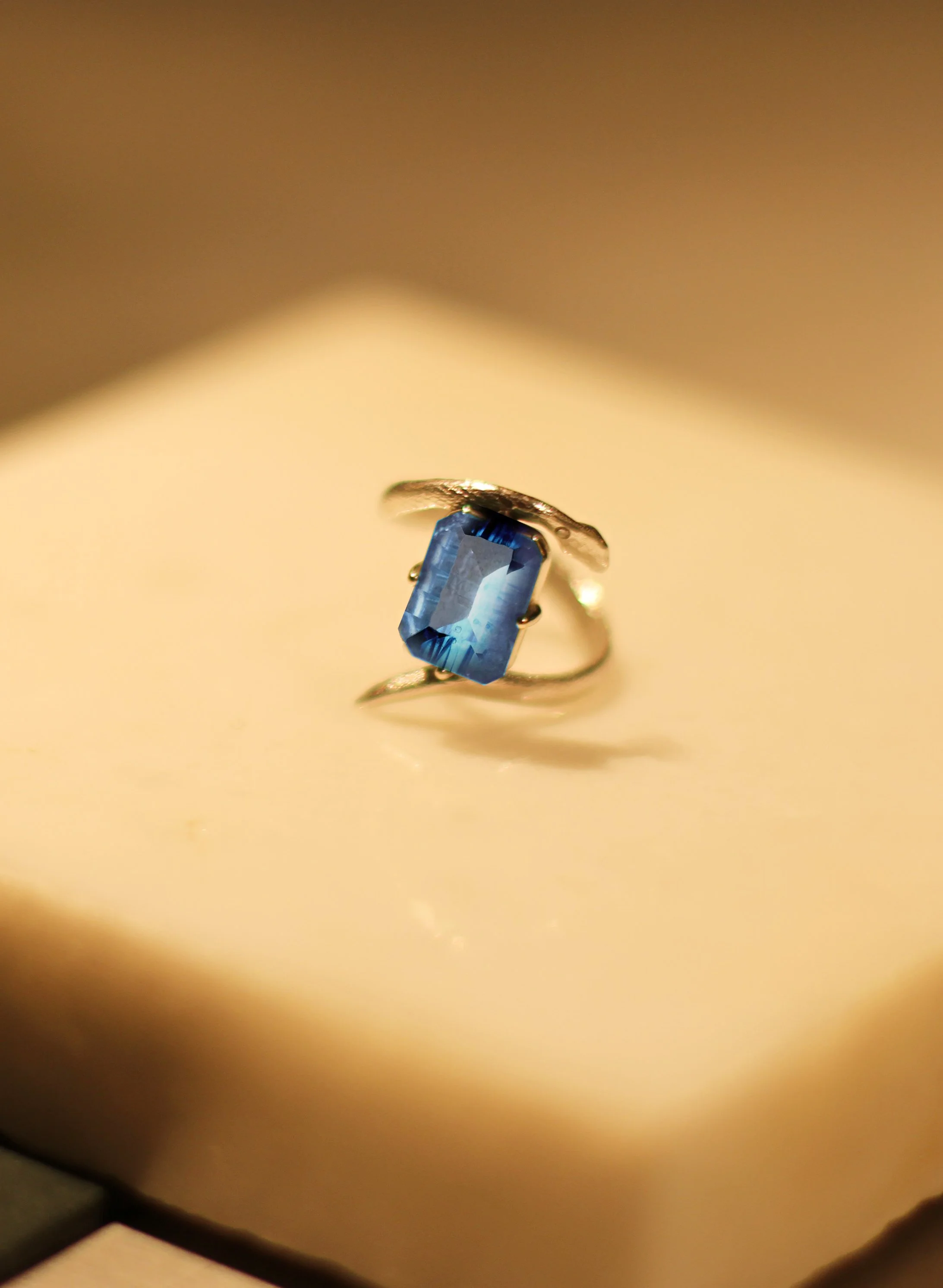 crtopaz22122284.jpg