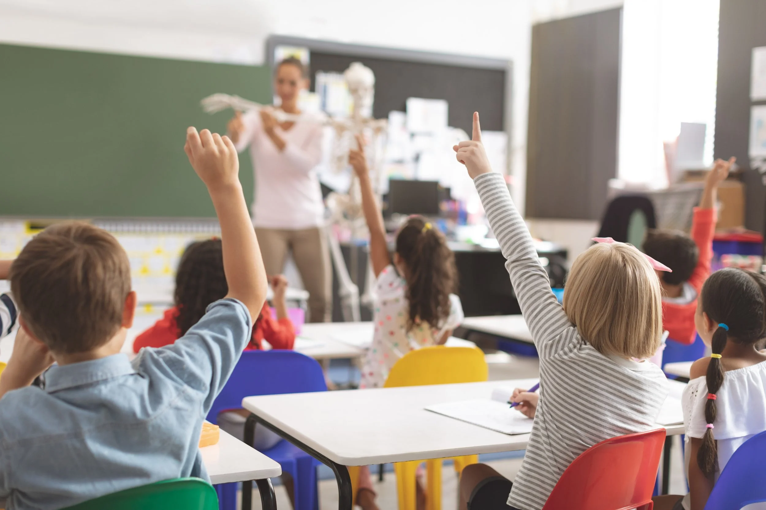 children raising hands in class