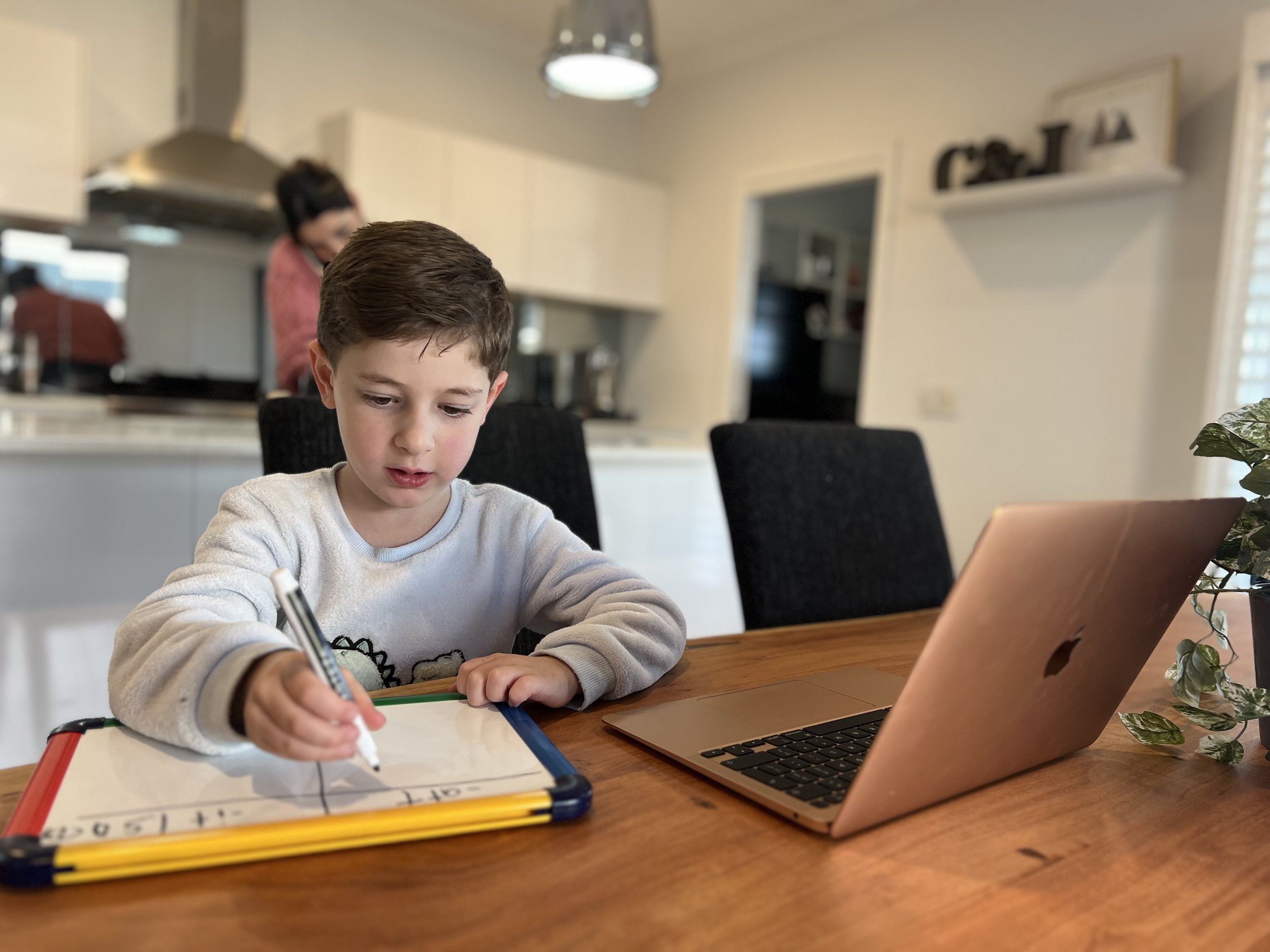 Boy concentrating on tutoring session