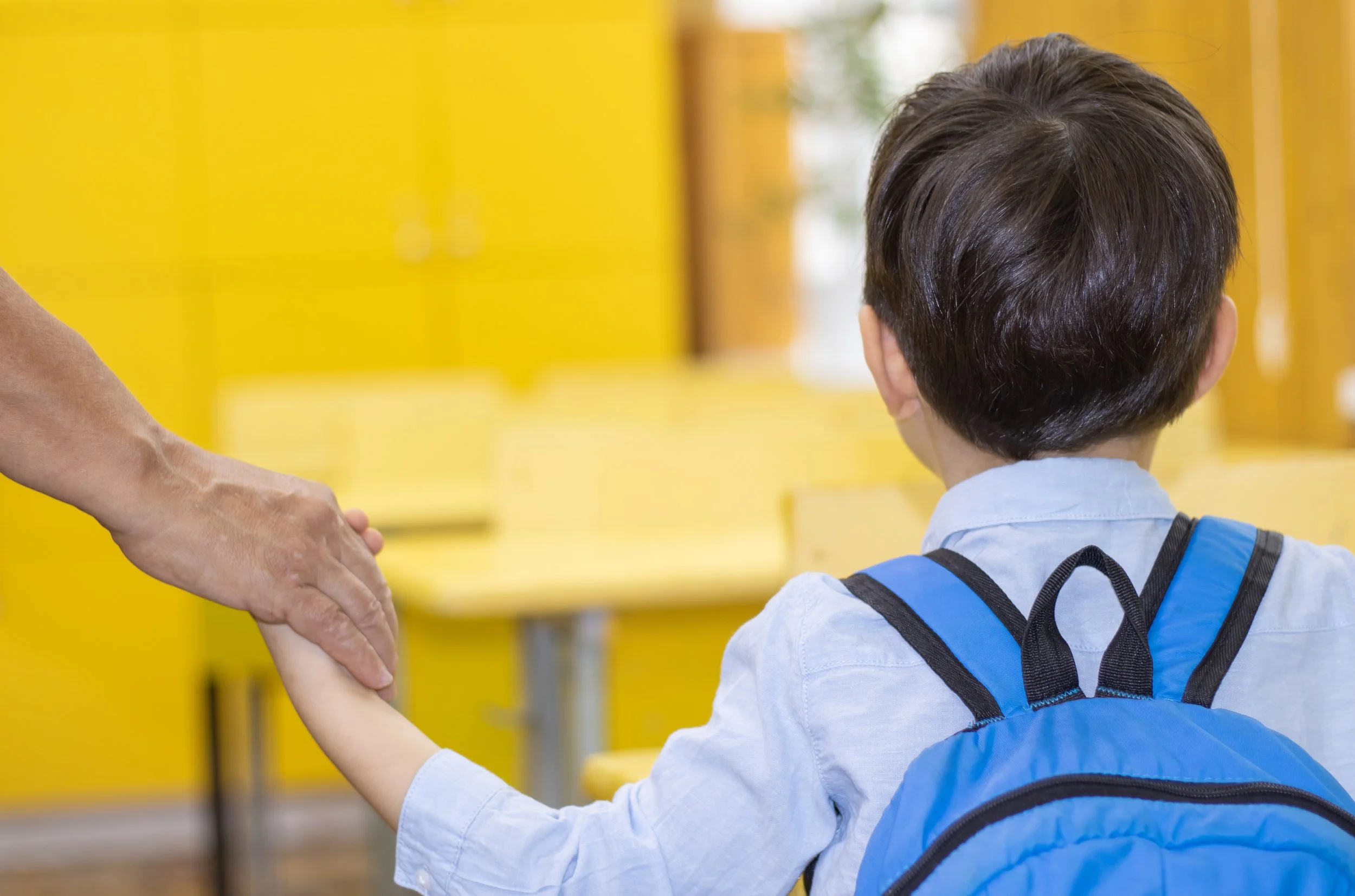 boy holding parents hand
