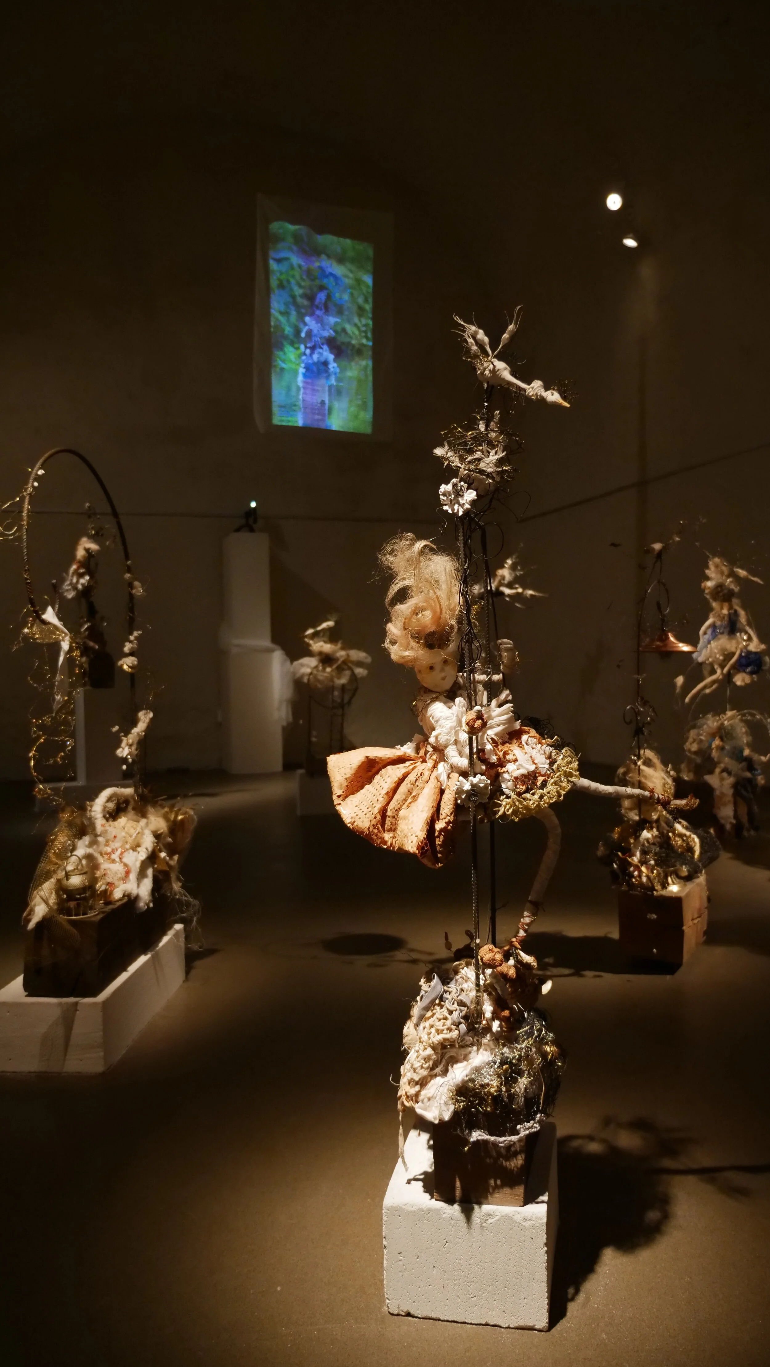 P1588717.JPG