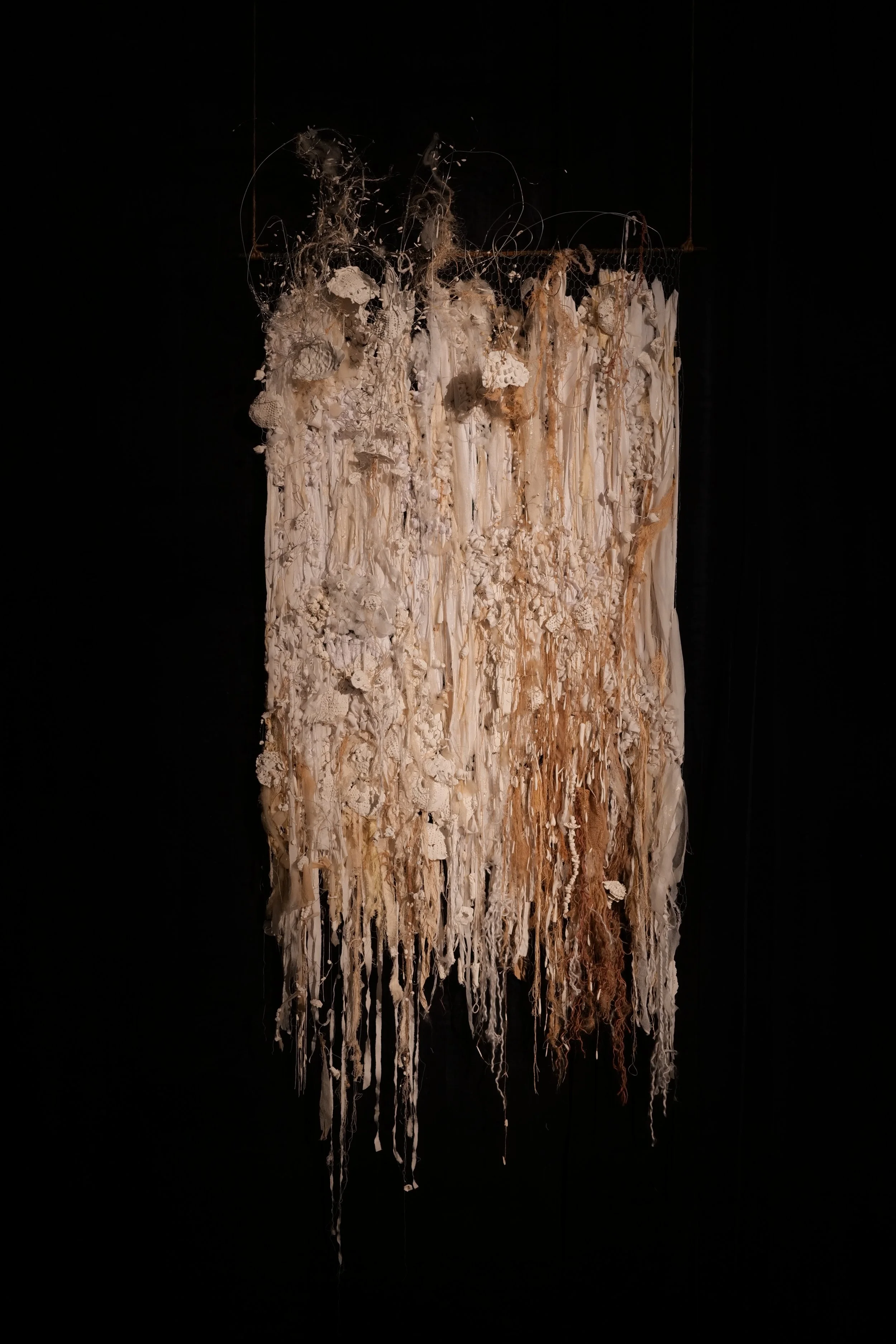 N°1, collection RaciNe, 2022