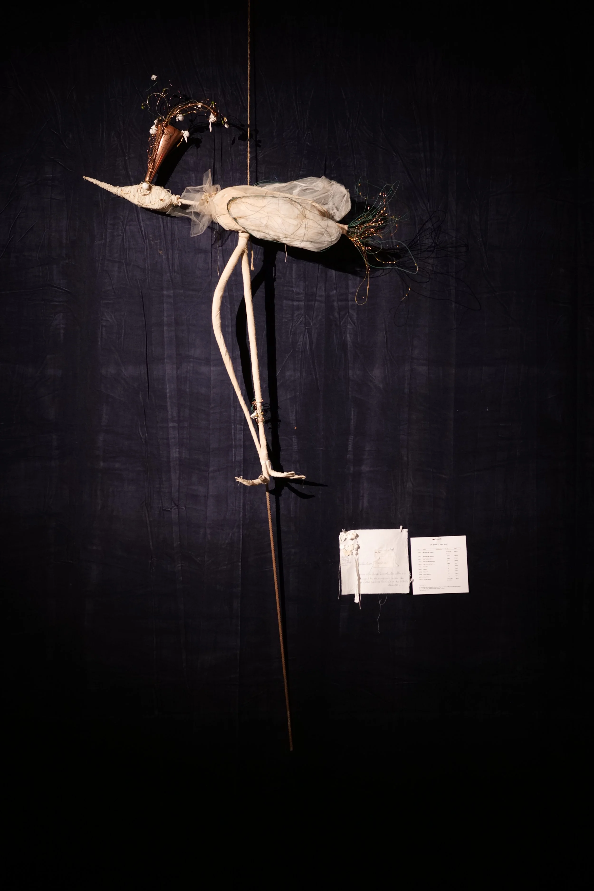 L'Oiseau, collection RaciNe, 2022