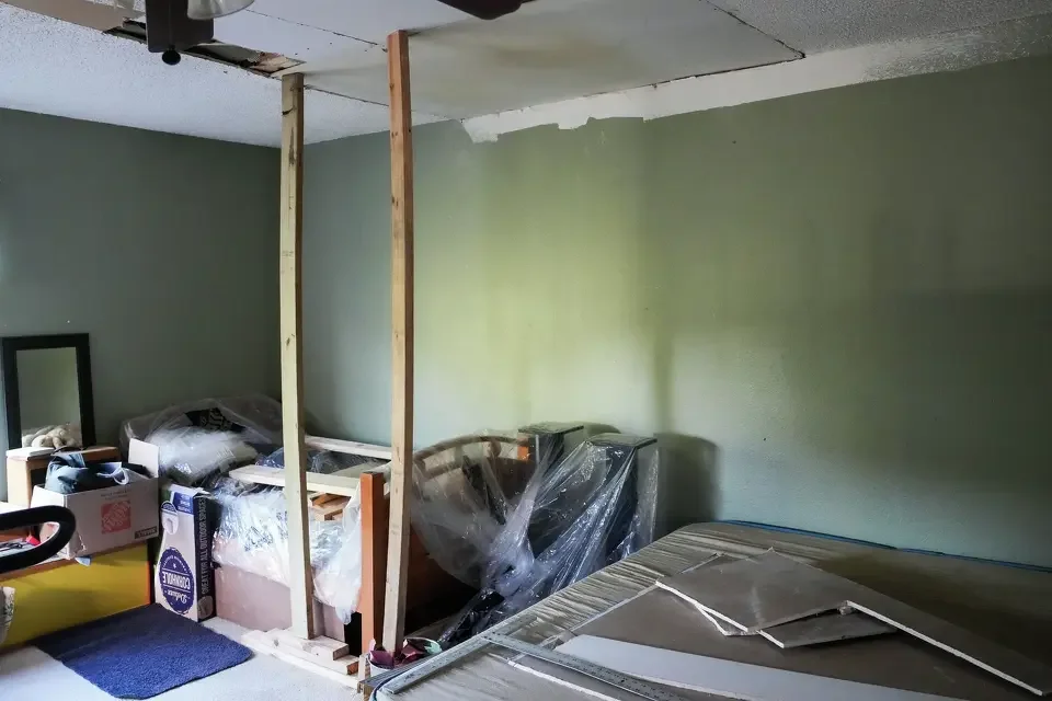 Anitra Coulter Blunt 3.webp