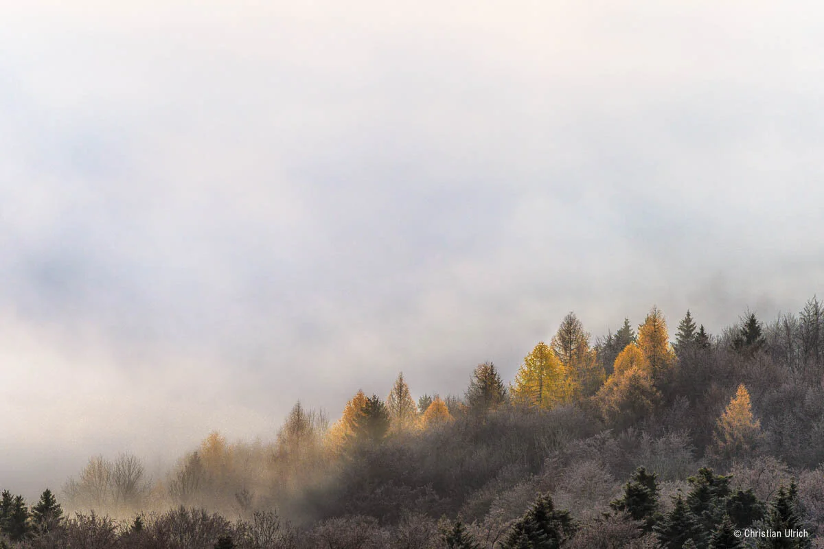 A7C01469-Bearbeitet.jpg