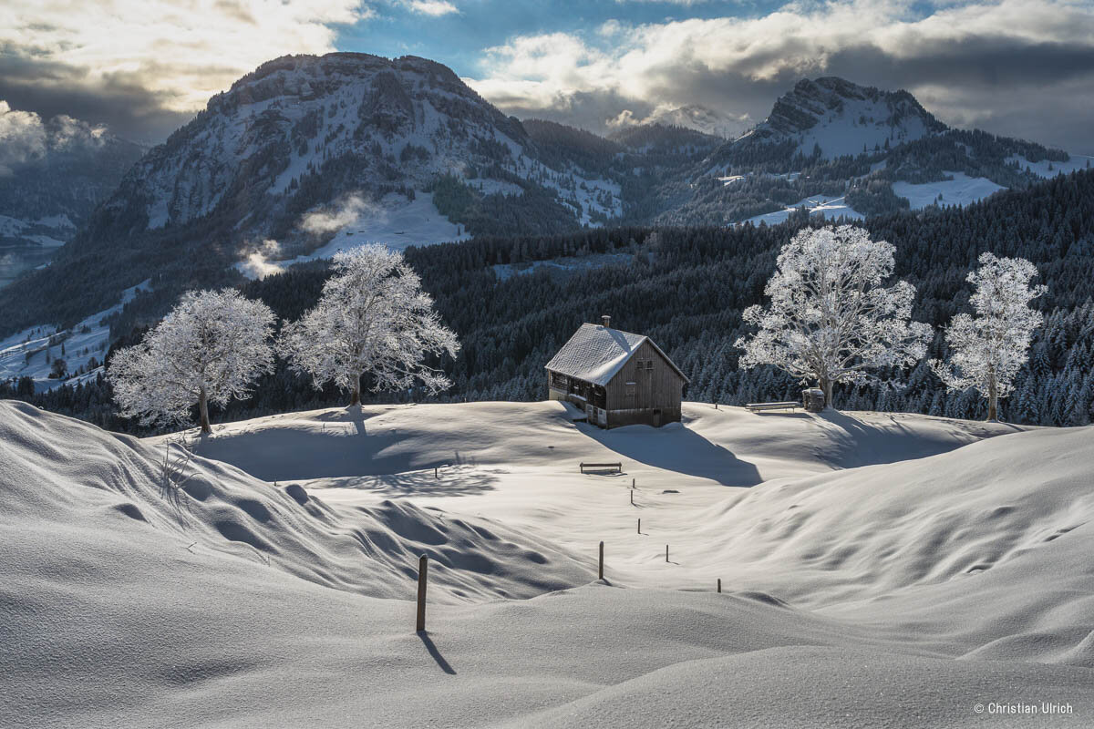 A7C01884-Bearbeitet.jpg