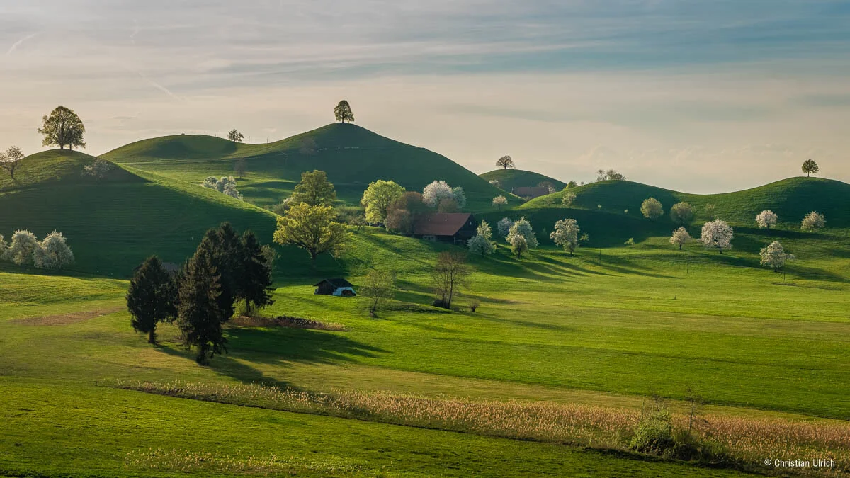 A6503332-Pano.jpg