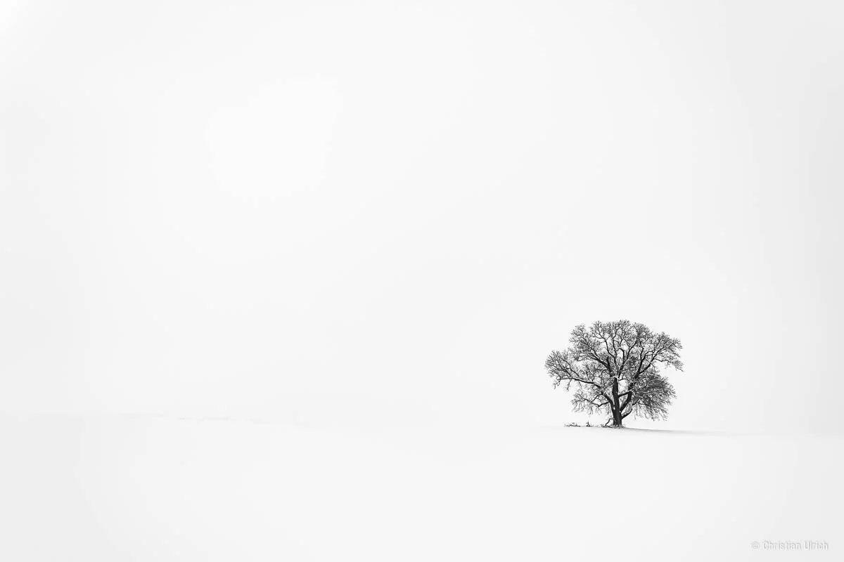 A7C02534-Bearbeitet-3.jpg