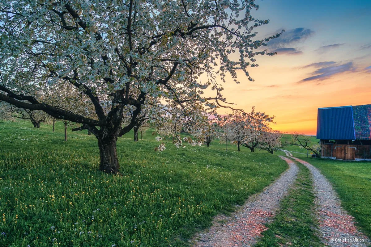 A7D02842-HDR-Bearbeitet-2-Bearbeitet-Bearbeitet.jpg