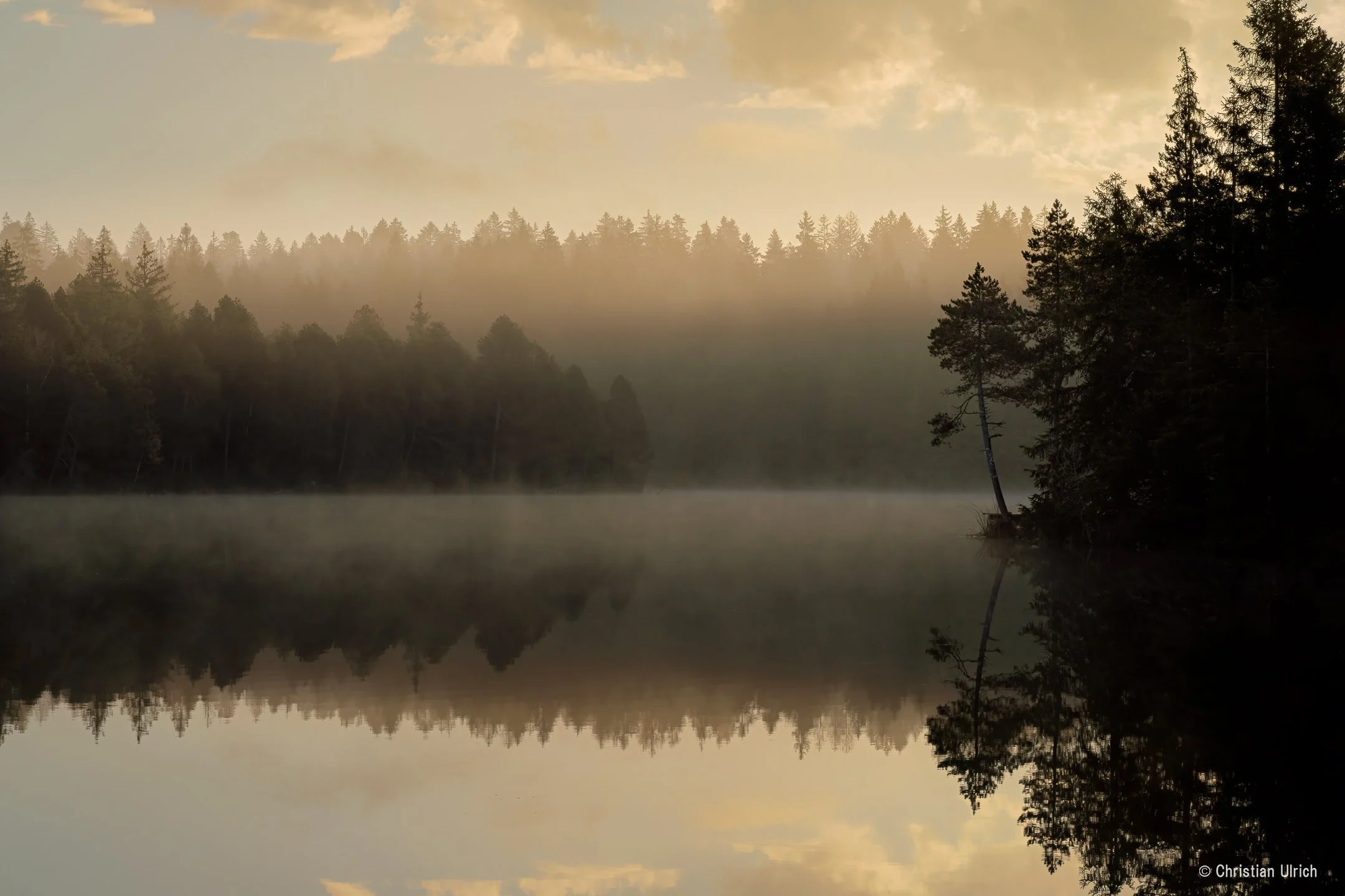 R5A05581-Bearbeitet-Bearbeitet.jpg