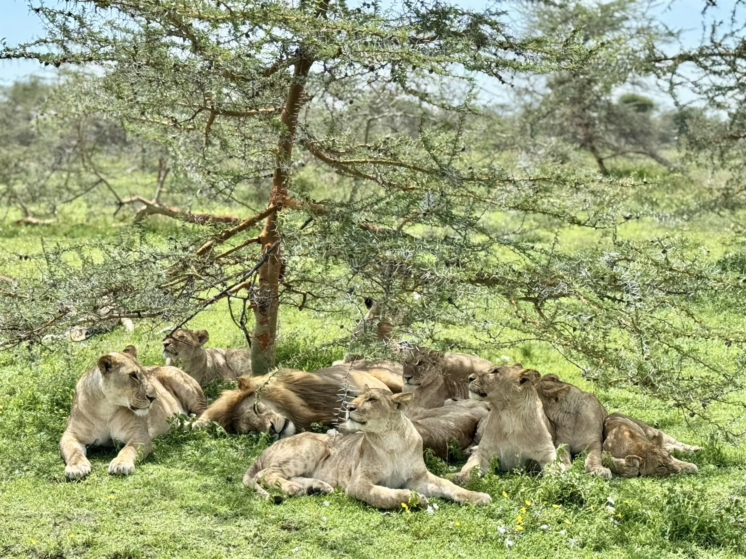 Tanzania Boutique Explorer