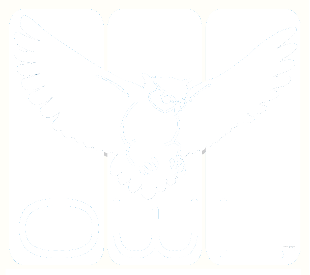 OWL Testing Software