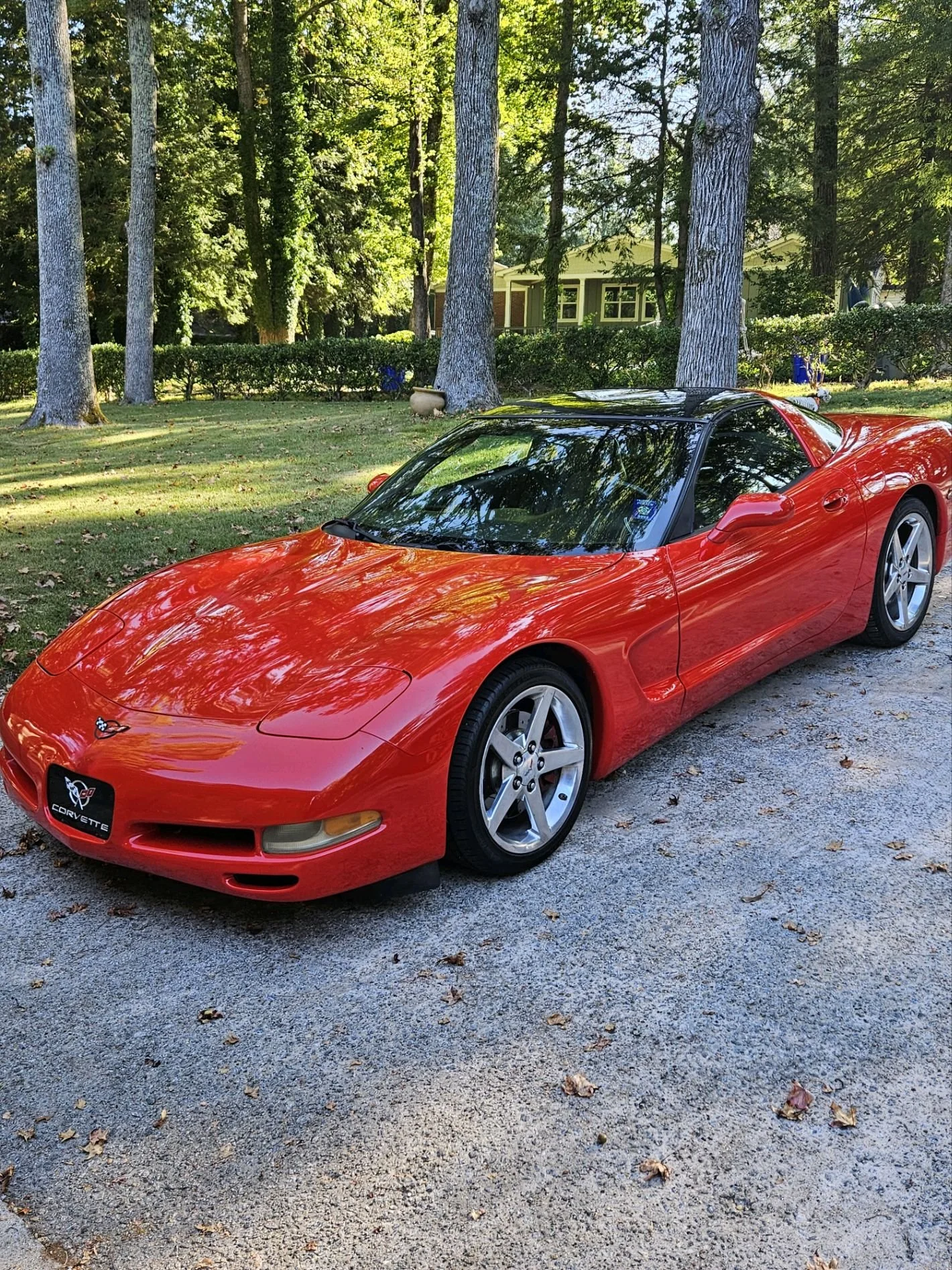 Lannan Car 2.jpg