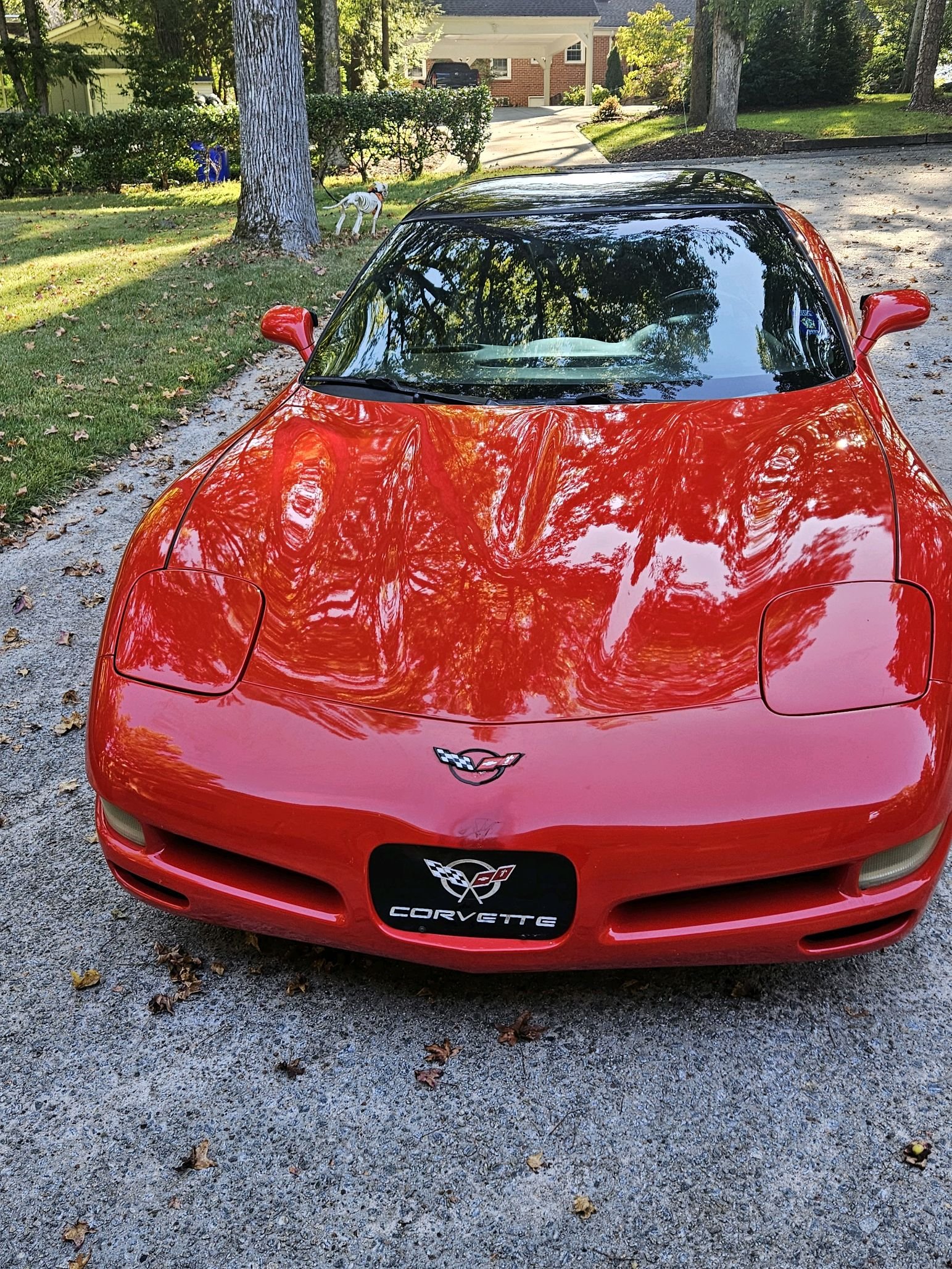 Lannan Car 1.jpg