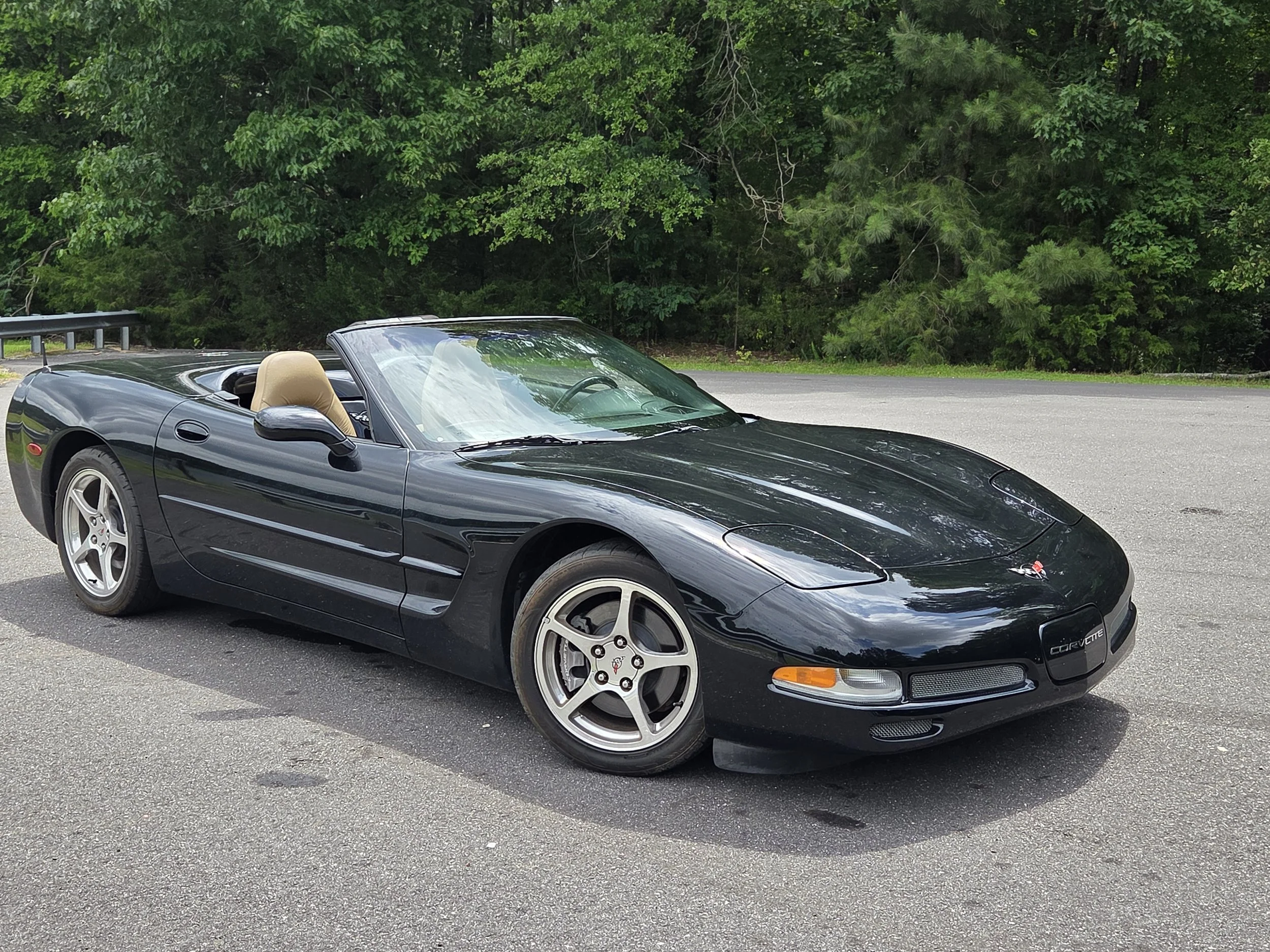 Petrozzelli, Anthony - 2004 Convertible