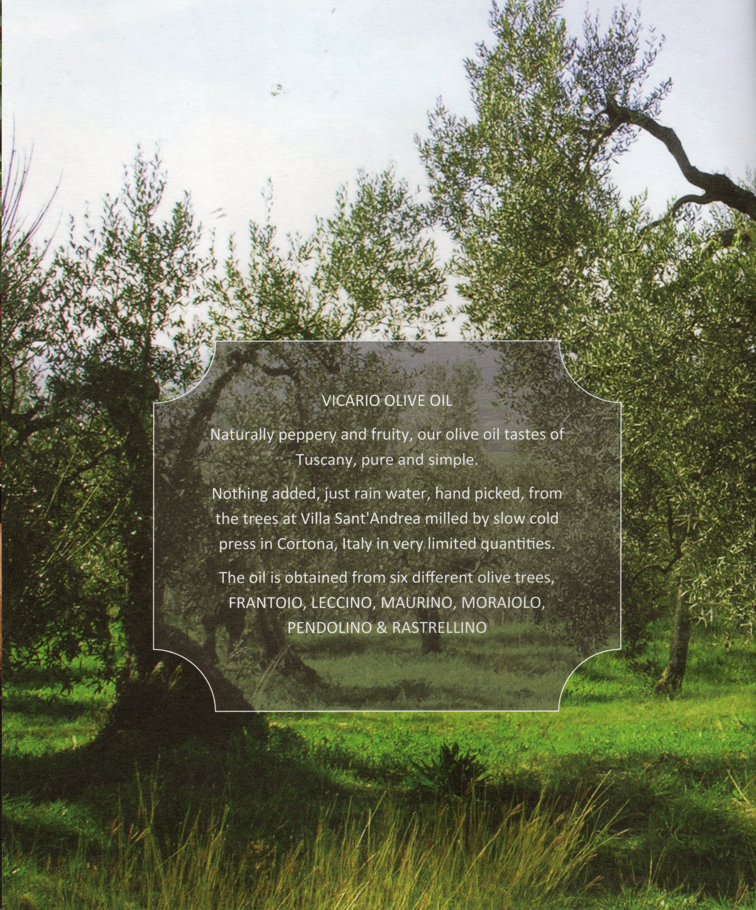 Vicario Tasting Book Page 6
