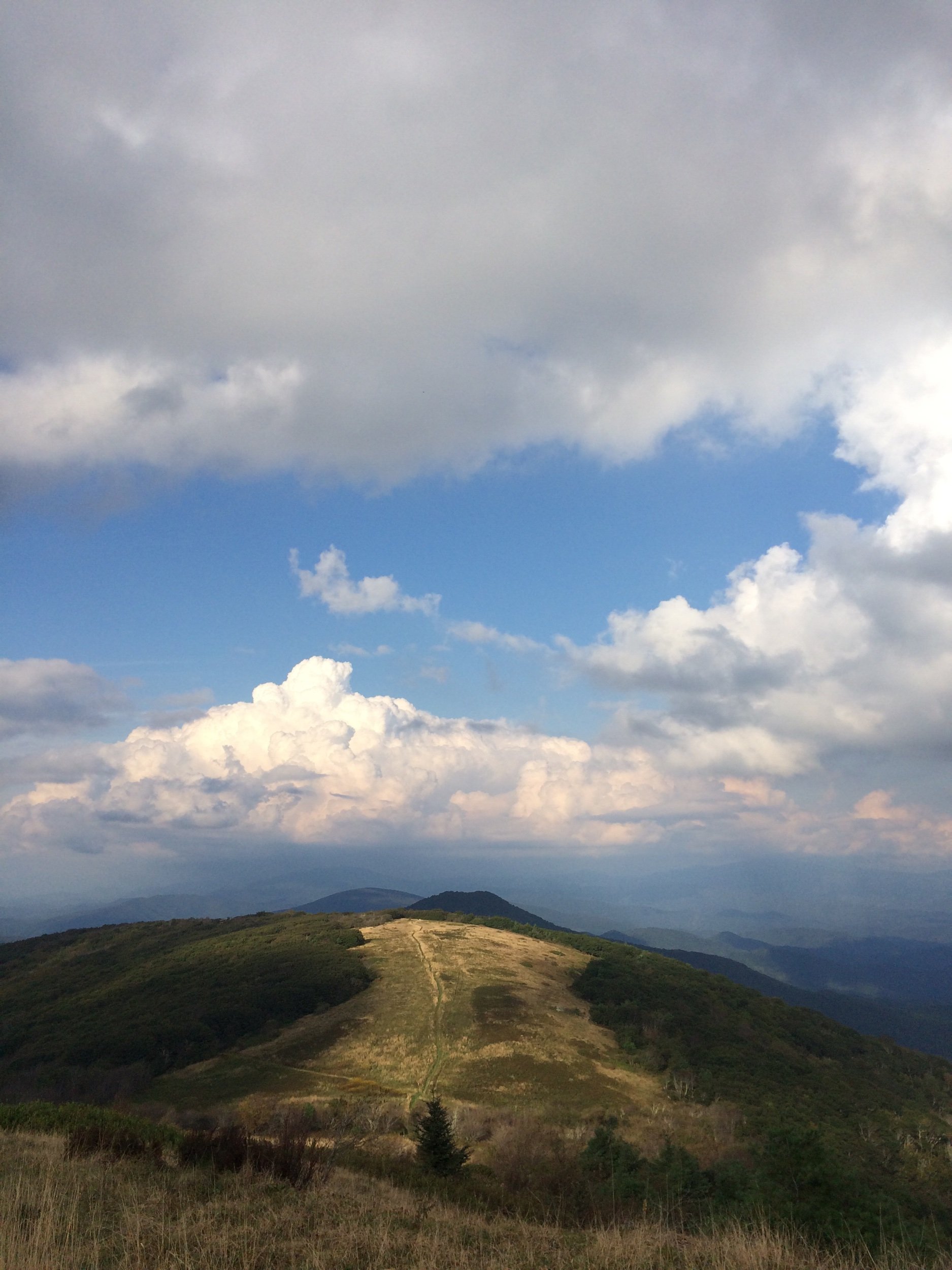 Two Questions That Changed my Year