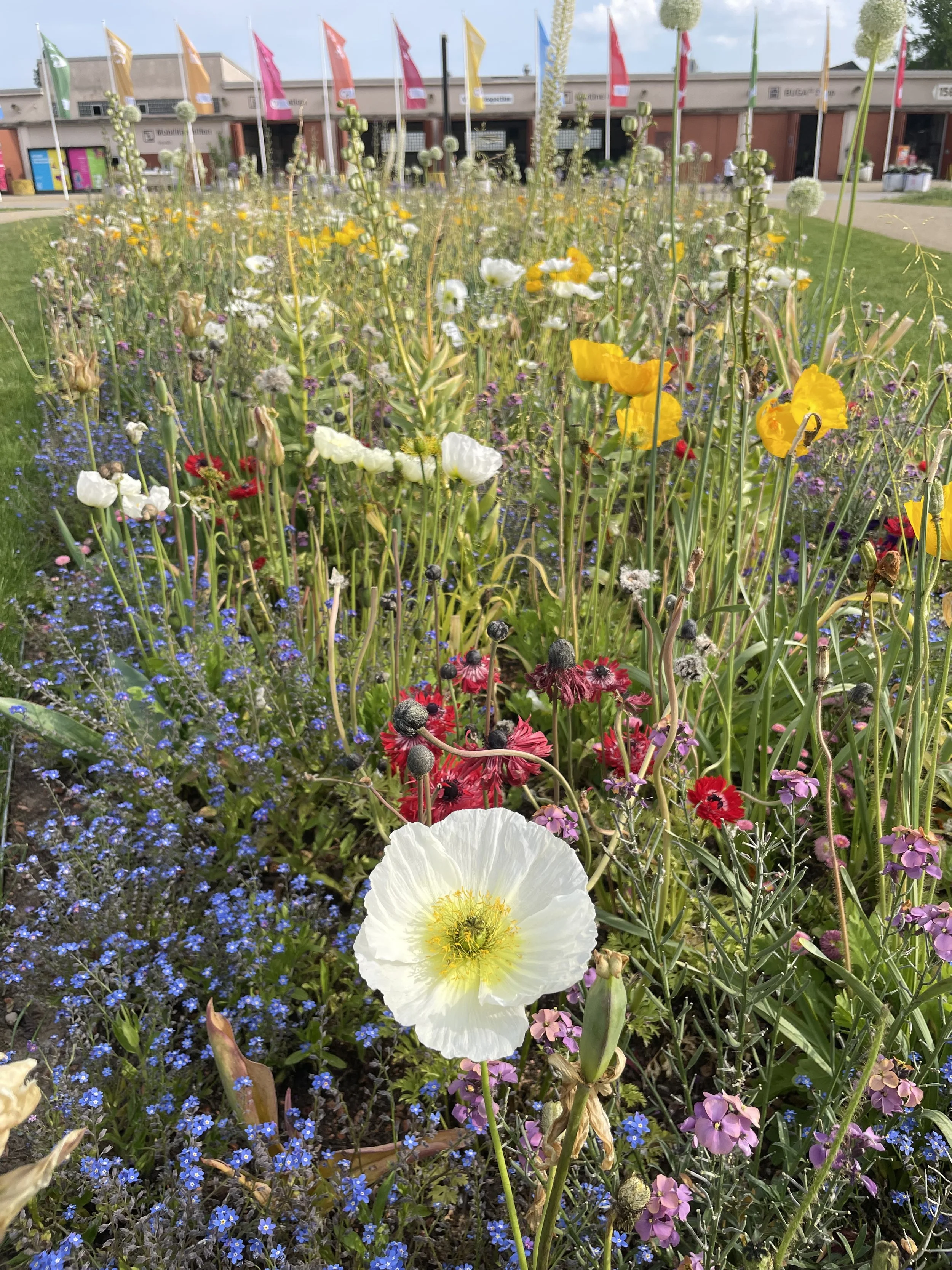 BUGA 2023 in Mannheim, Germany