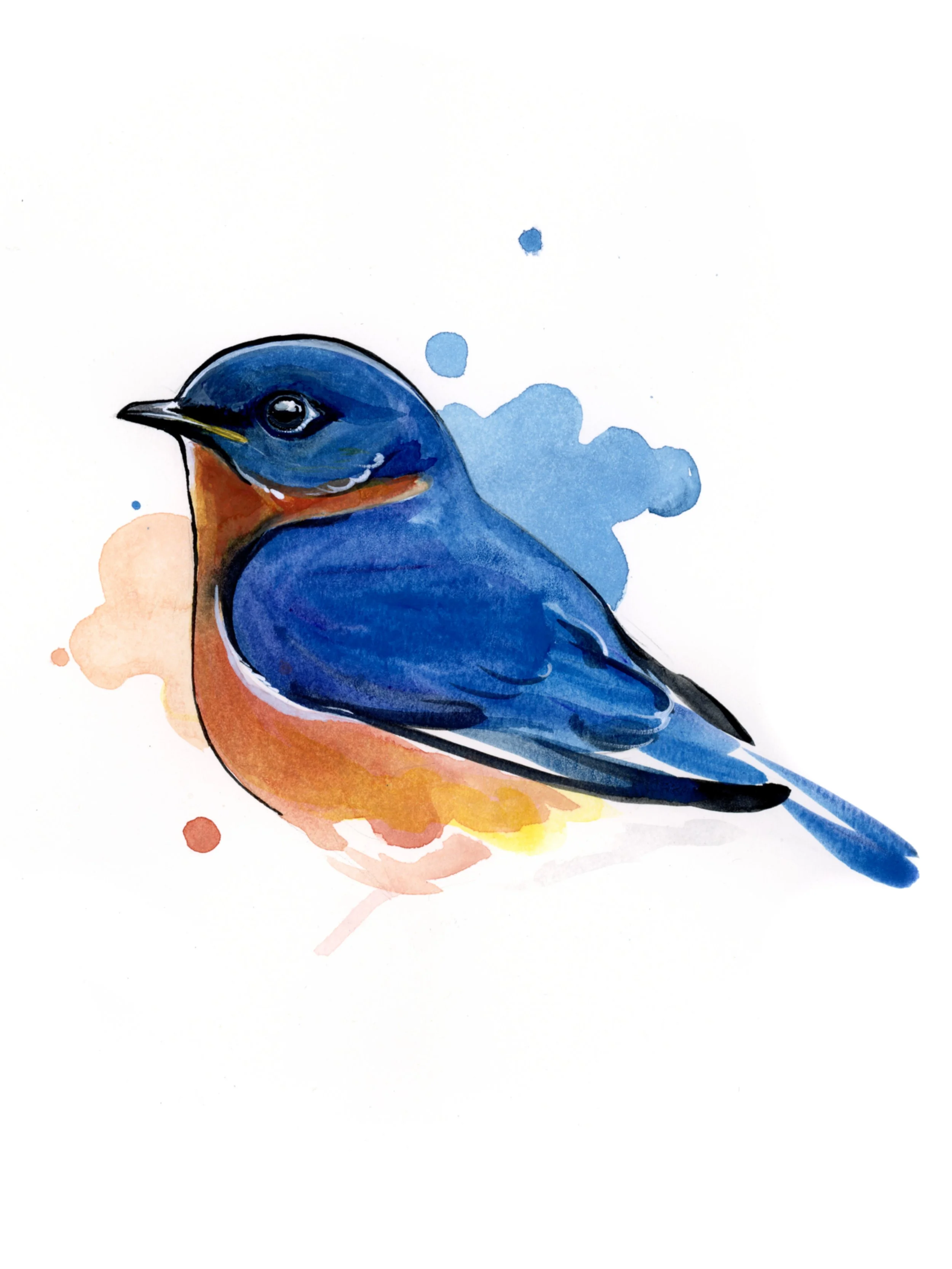 Bluebird in Watercolor