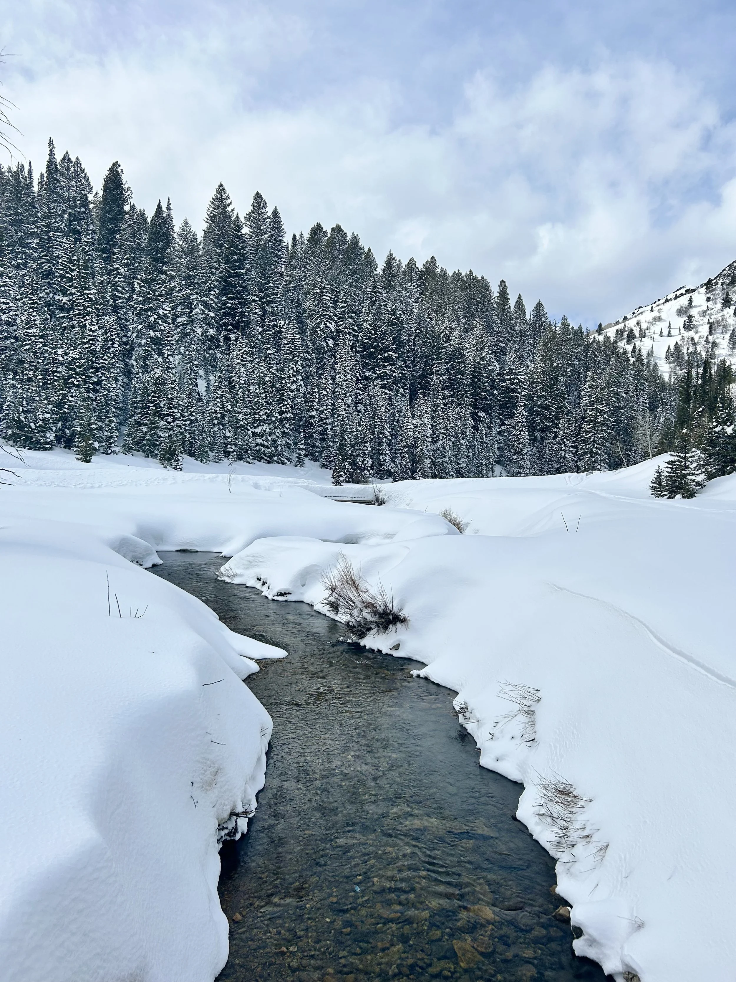 Ski Trip to Salt Lake City