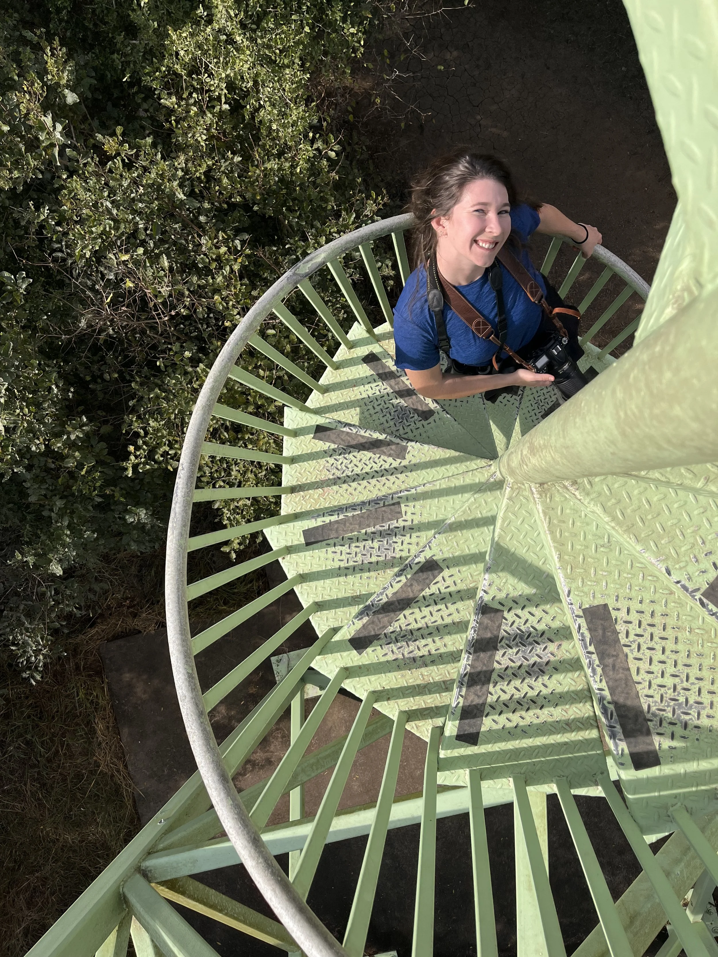Birding the Lower Rio Grande
