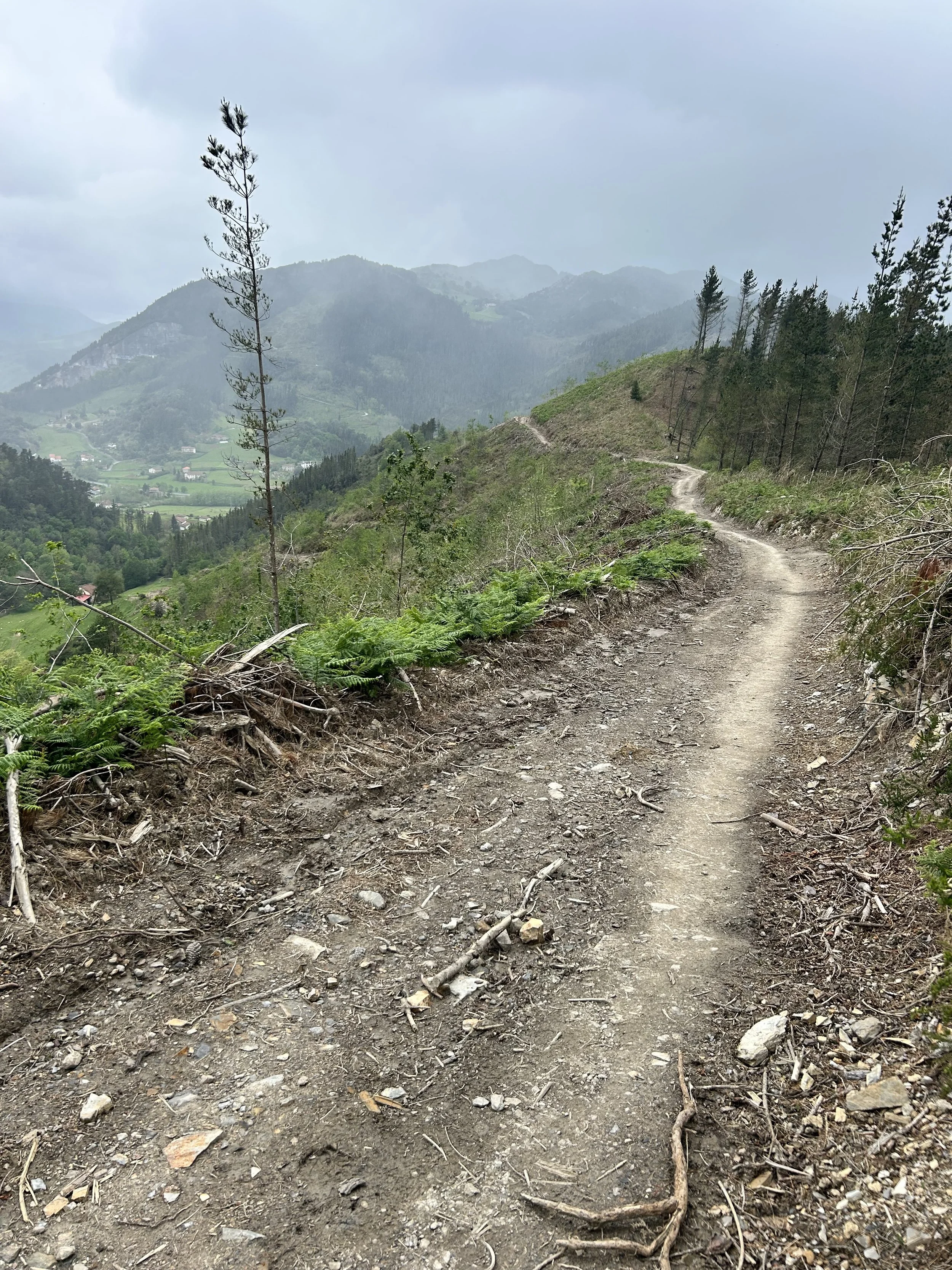 Camino del Norte Day 4: Deba to Ziortza