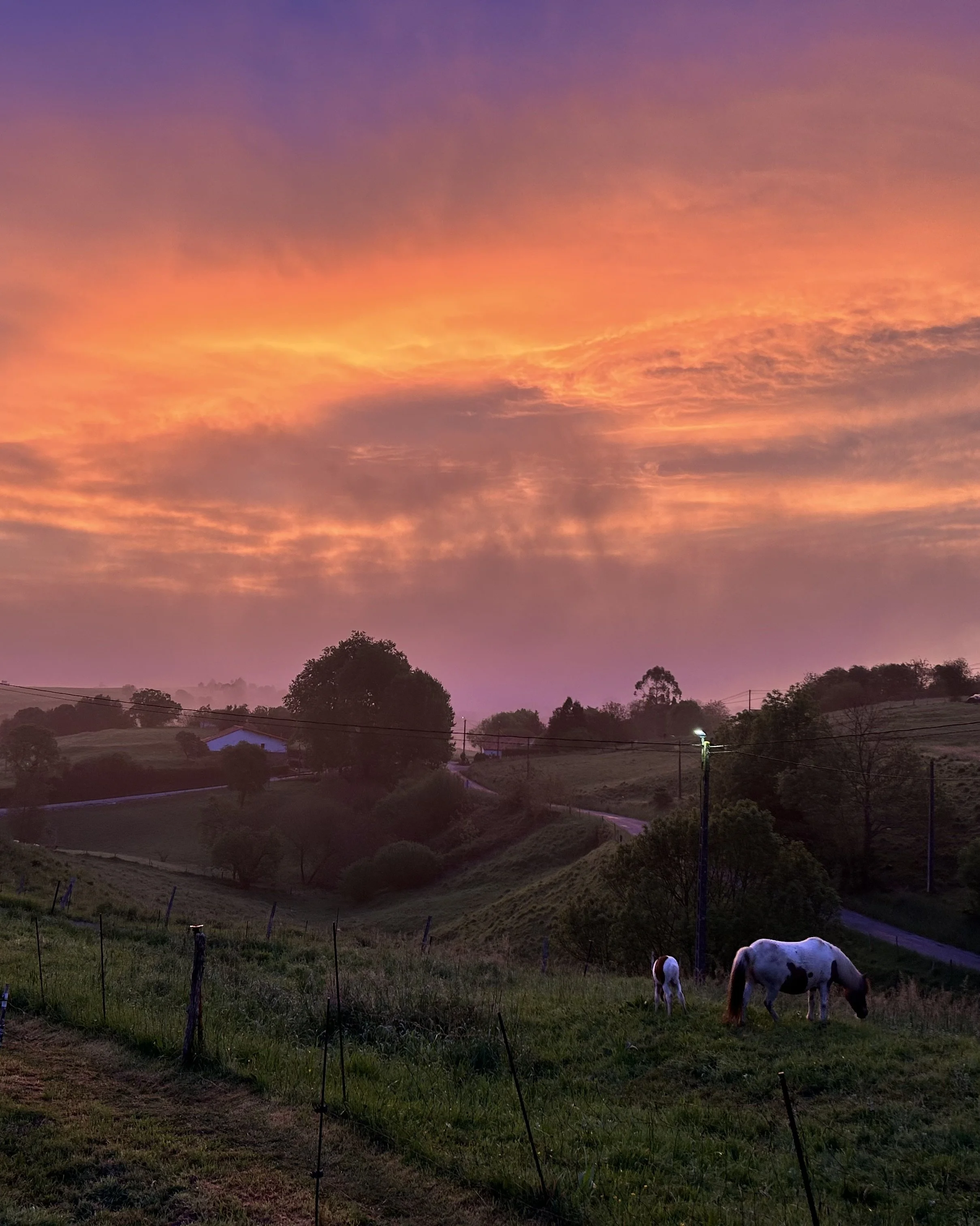 Camino del Norte Day 13: Güemes to Santander