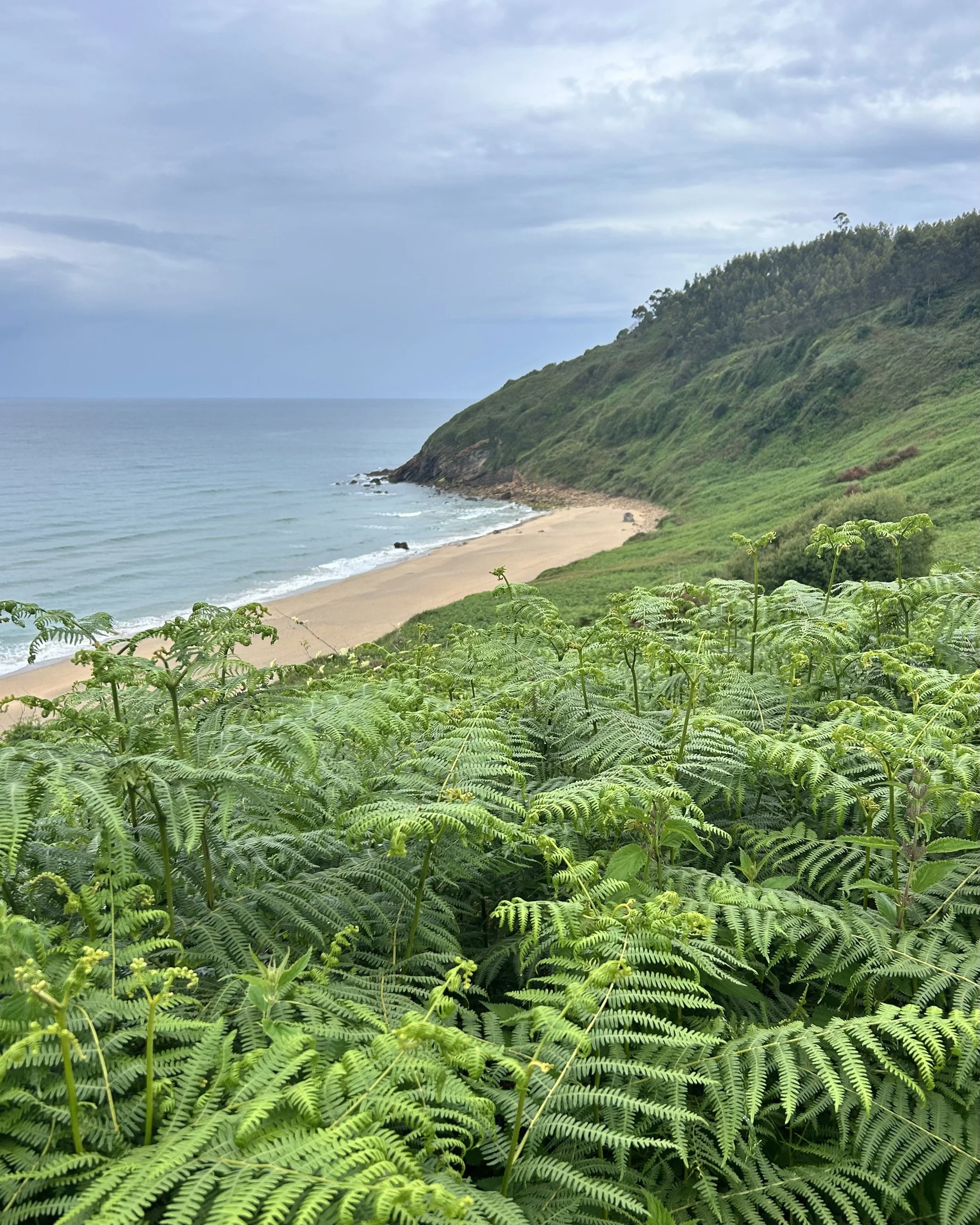 Camino del Norte Day 20: Piñeres de Pria to La Isla