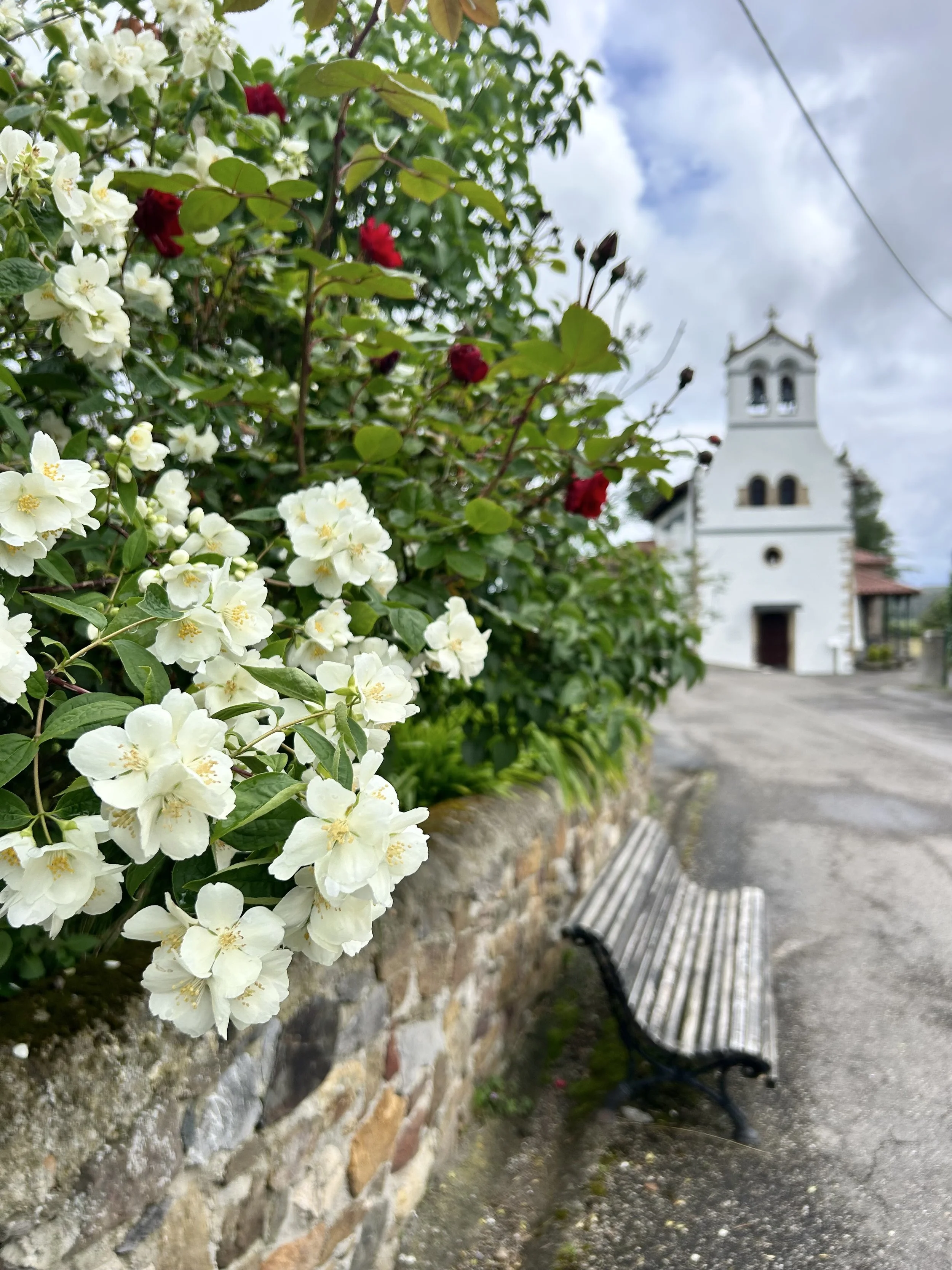 Camino del Norte Day 26:  Avilés to Muros de Nalón
