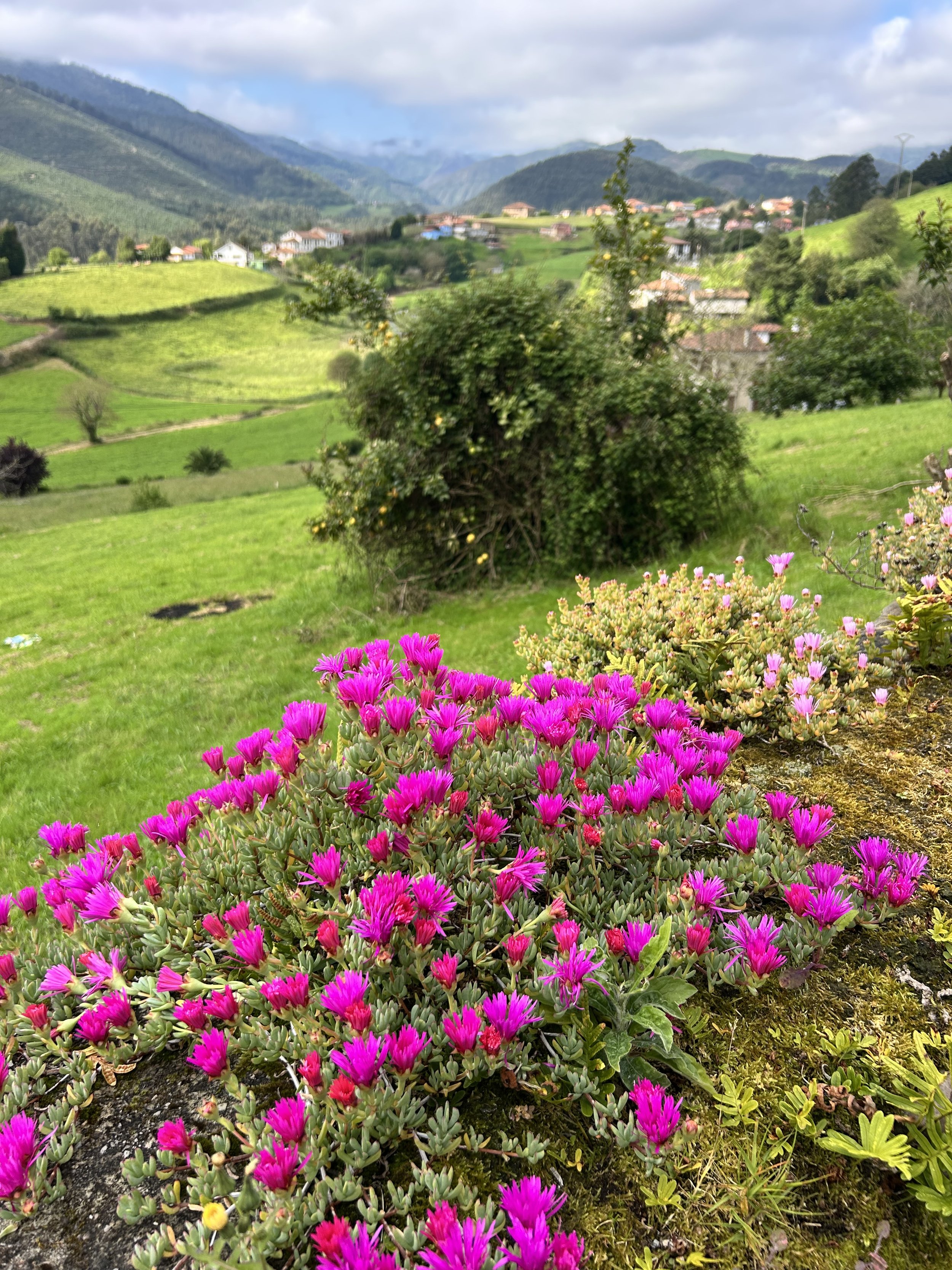 Camino del Norte Day 27: Muros de Nalón to Castañares
