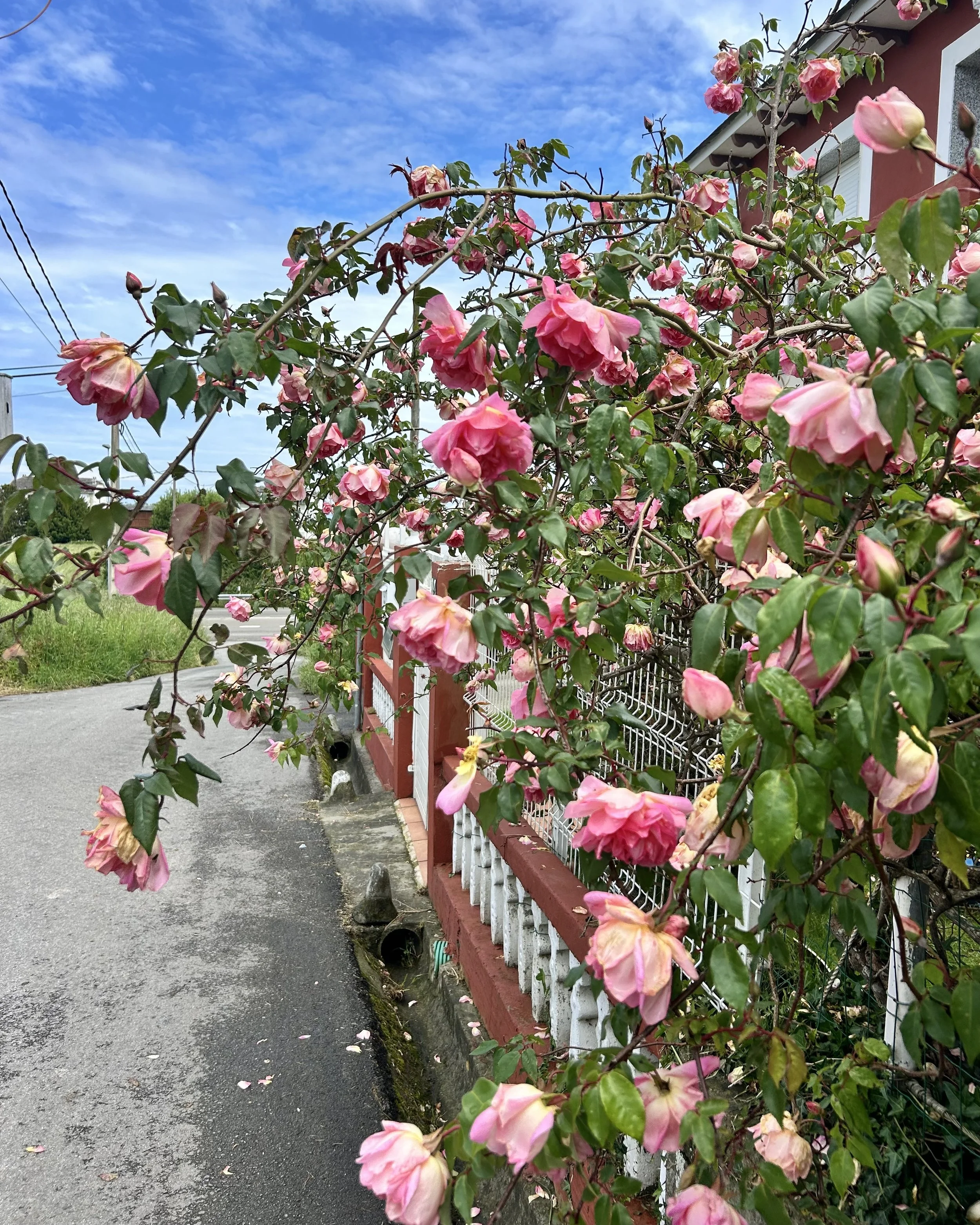 Camino del Norte Day 30: Piñera to La Caridad