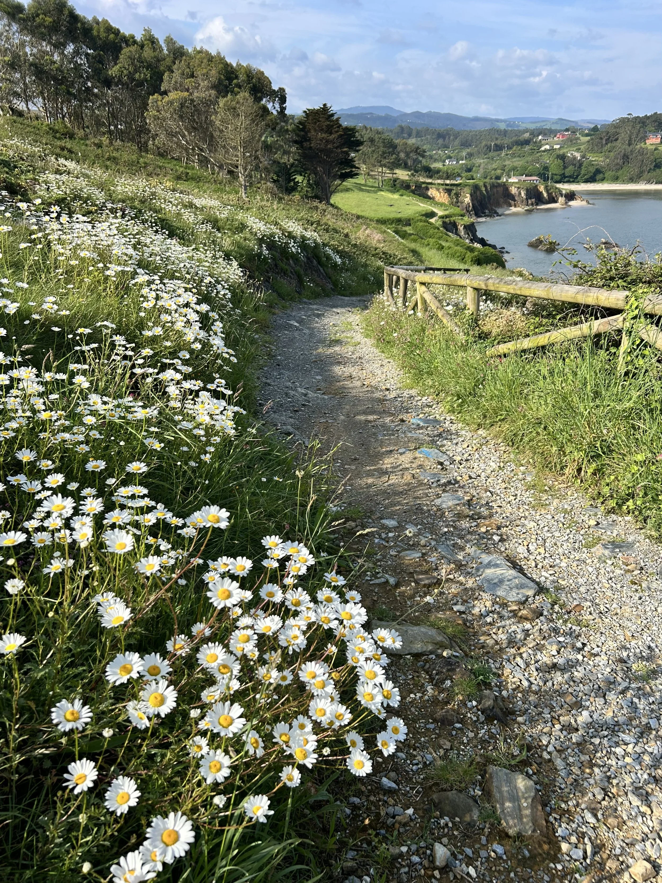 Camino del Norte Day 31: La Caridad to Ribadeo