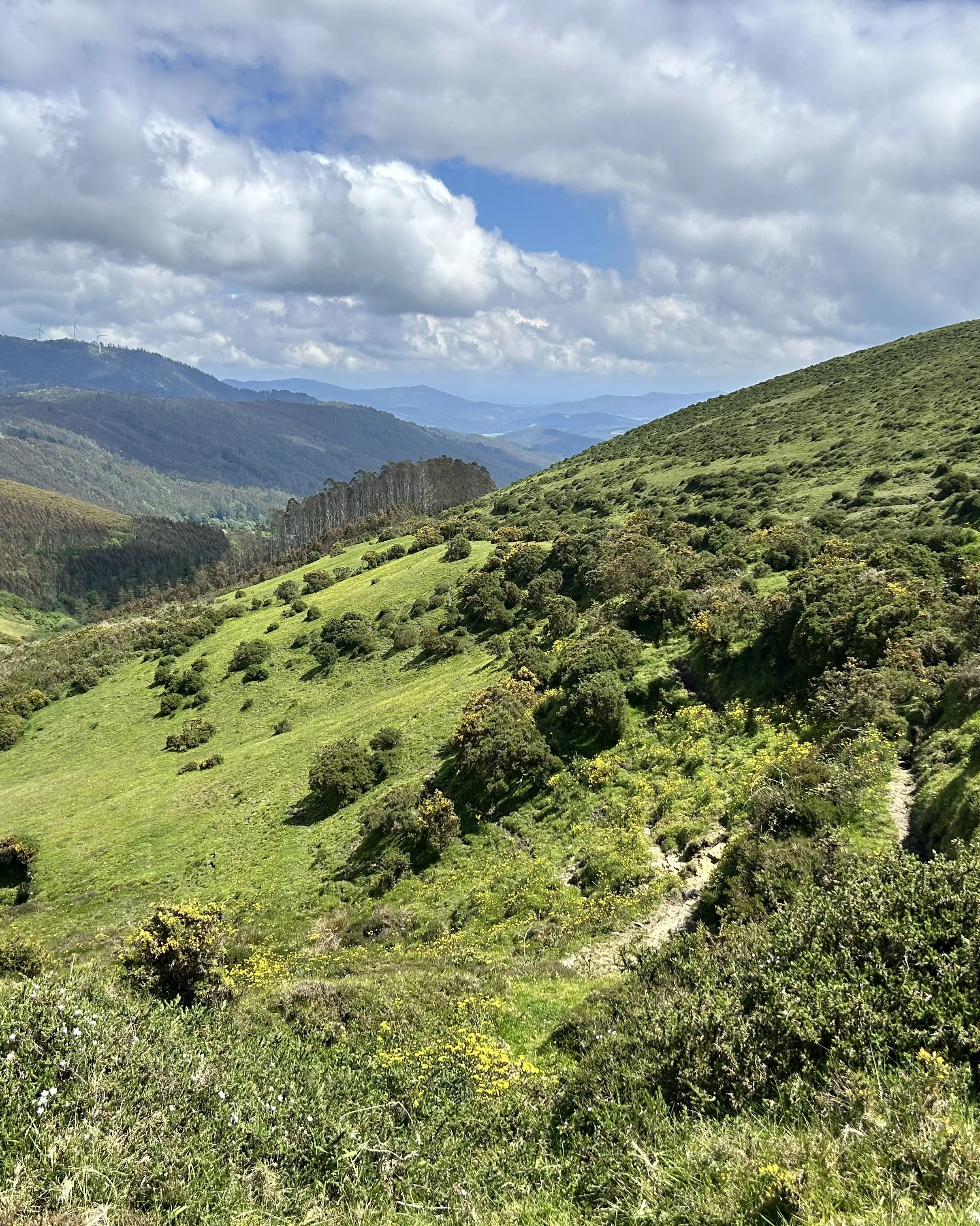 Camino del Norte Day 34: Lourenzá to Abadín