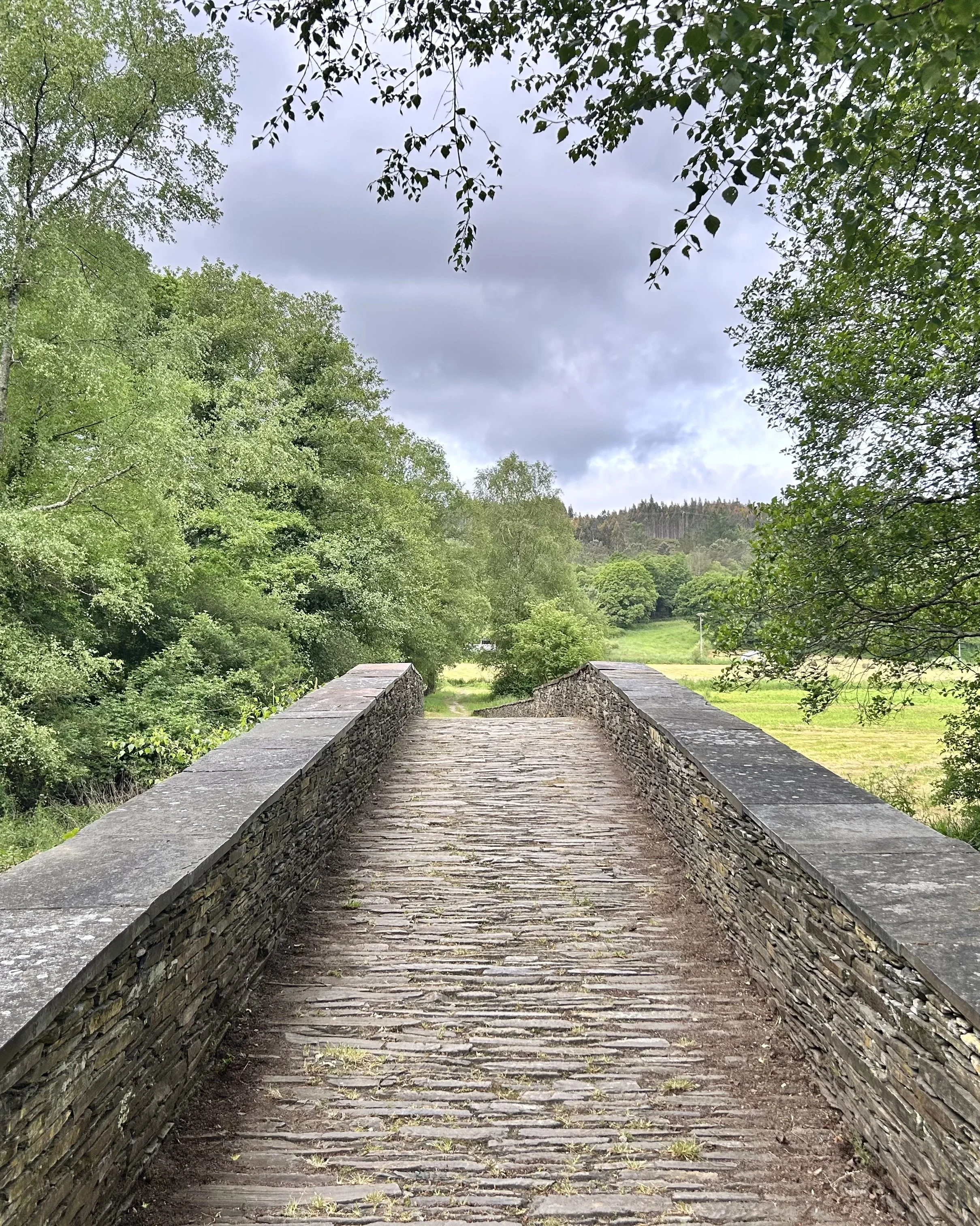 Camino del Norte Day 37: Vilalba to A Lagoa