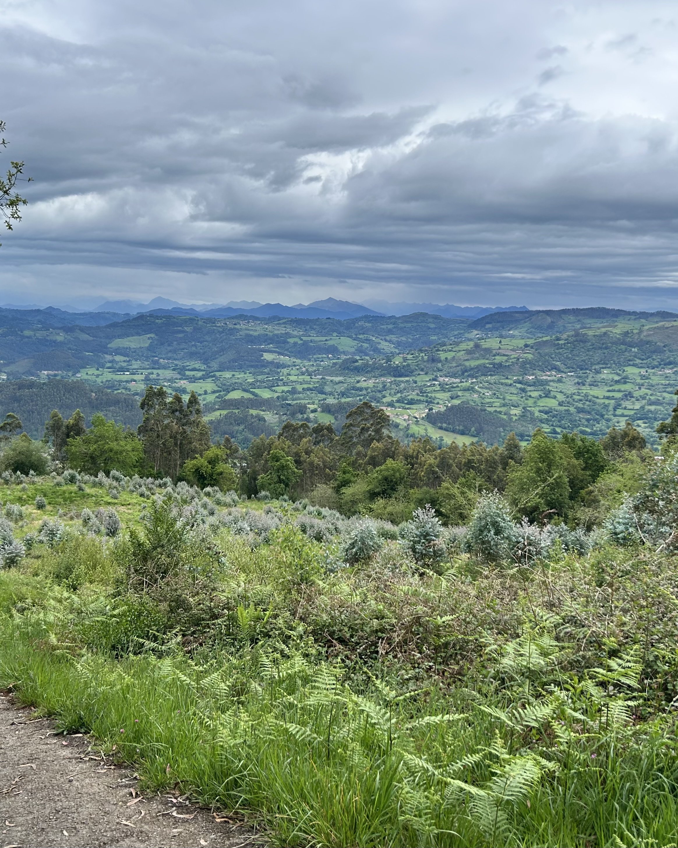 Camino del Norte Day 22: Sebreyu to Deva (Camping)