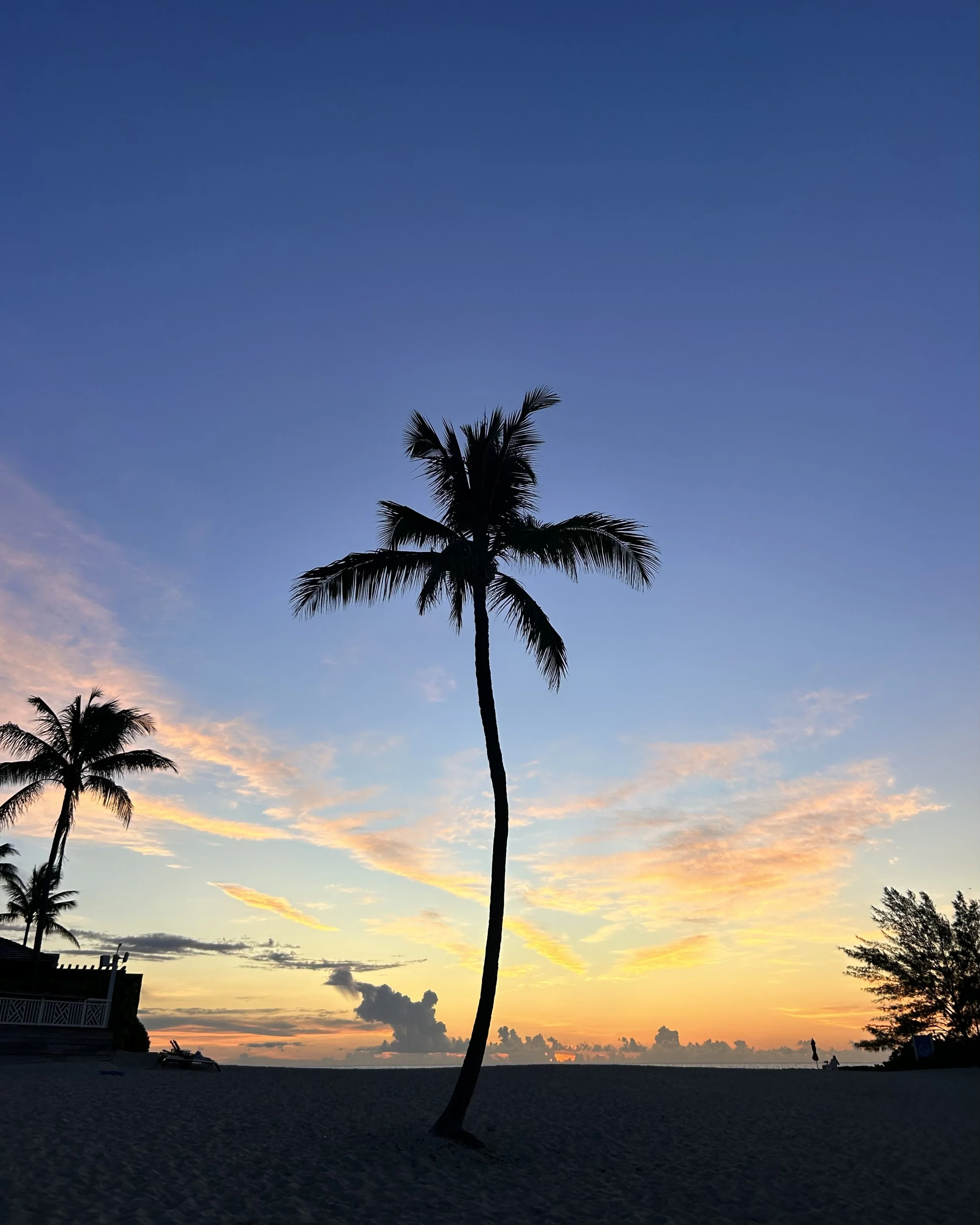 Postcards From Nassau, Bahamas